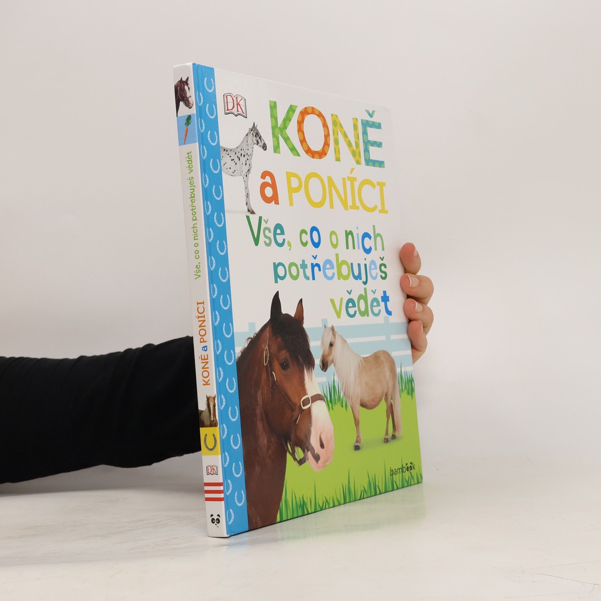 Andrea Mills Koně a poníci – Vše, co o nich potřebuješ vědět