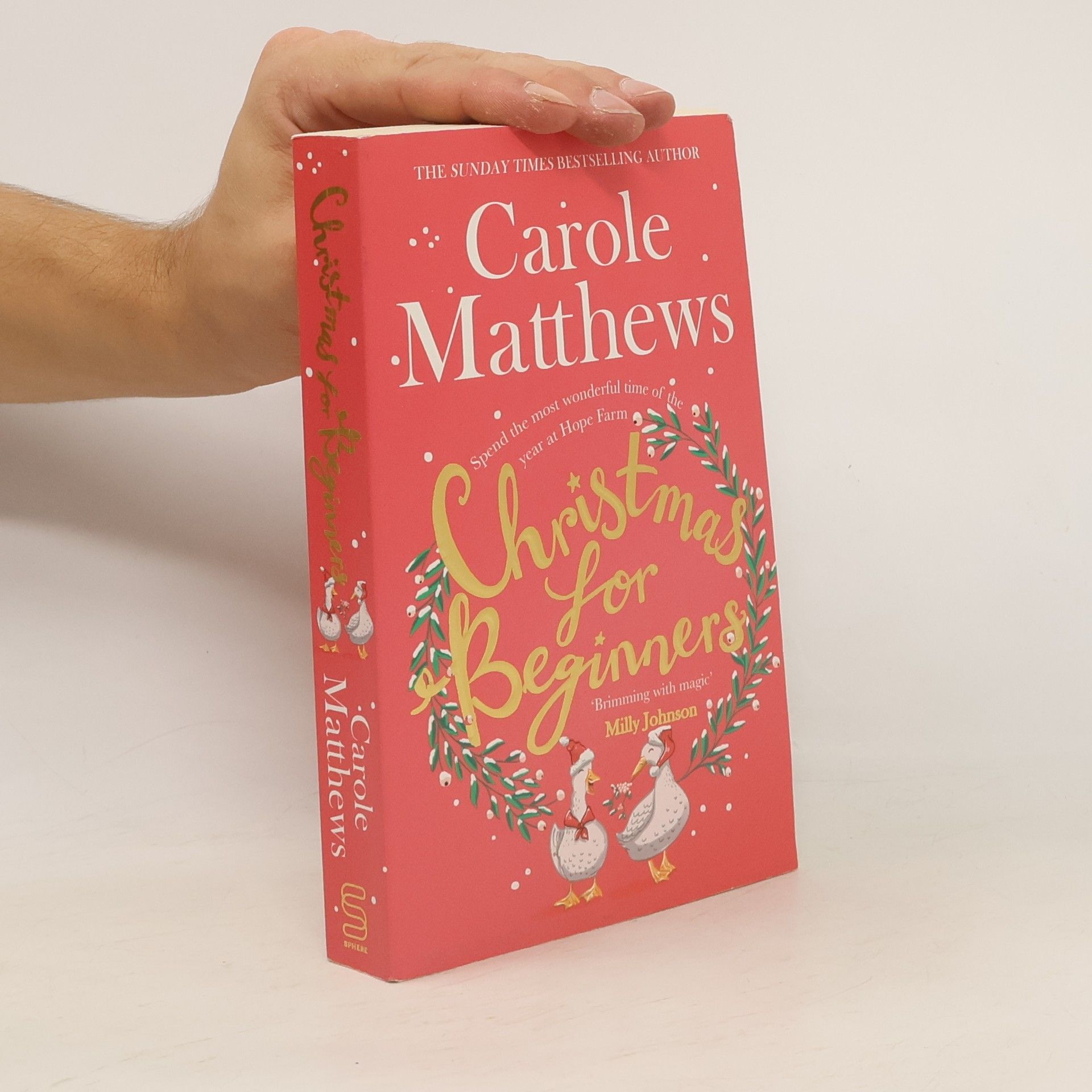 Carole Matthews Christmas for Beginners