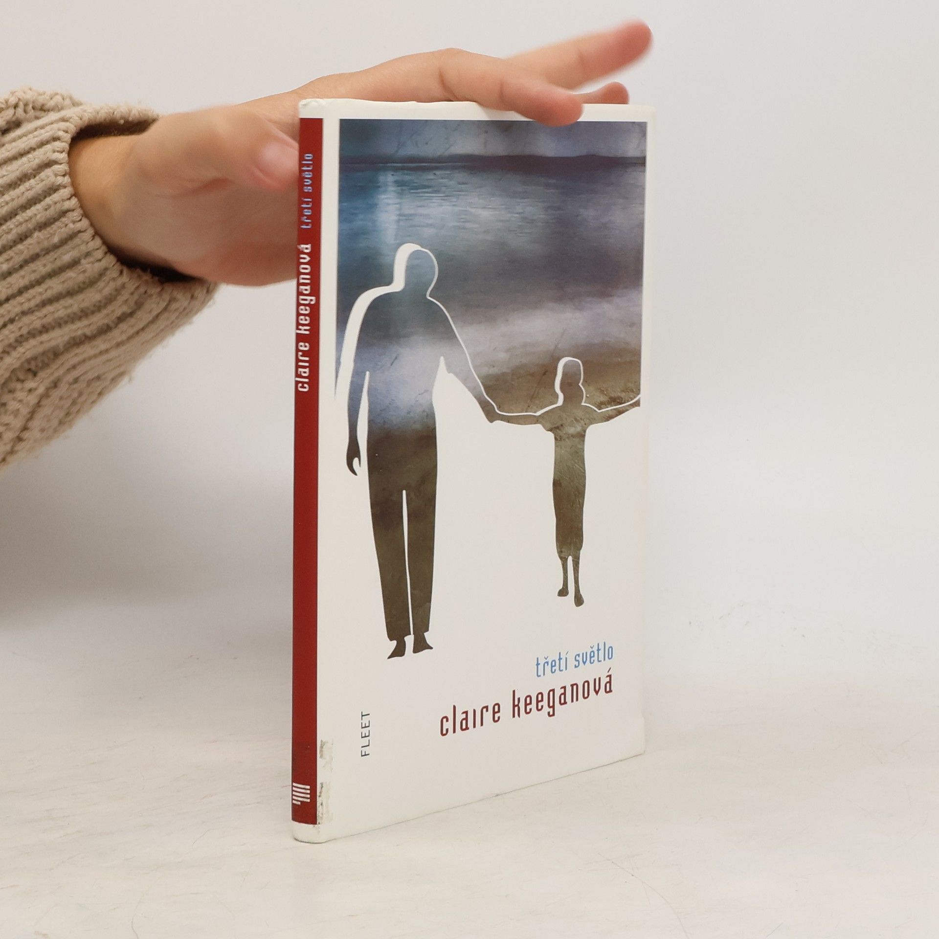 Claire Keegan Třetí světlo