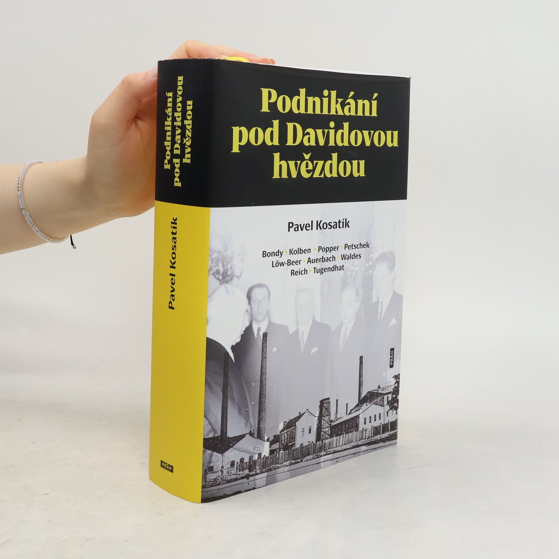 Pavel Kosatík Podnikání pod Davidovou hvězdou