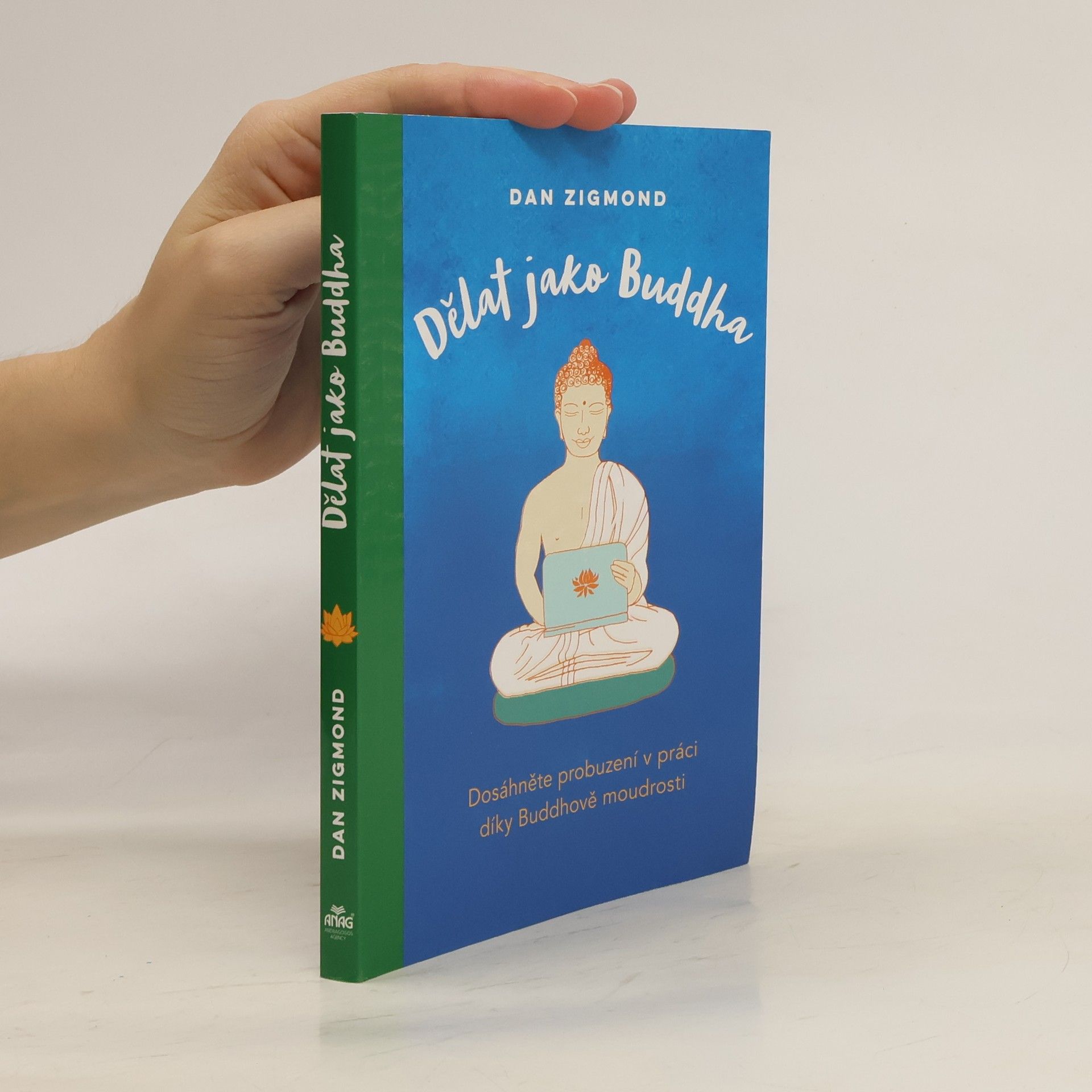 Dan Zigmond Dělat jako Buddha