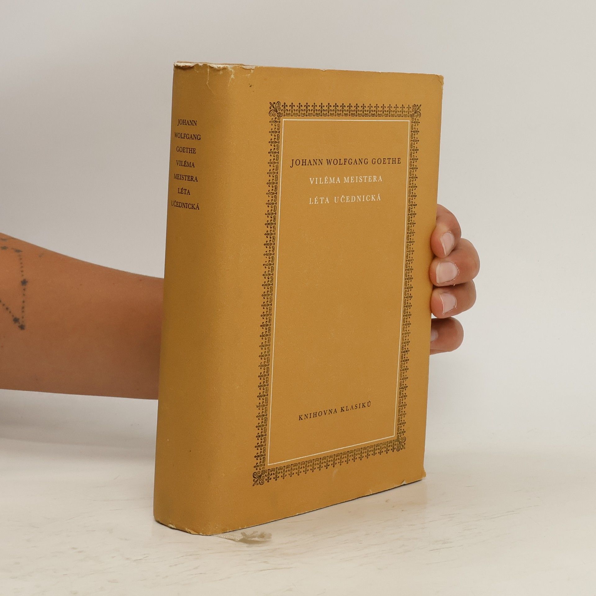 Viléma Meistera léta učednická