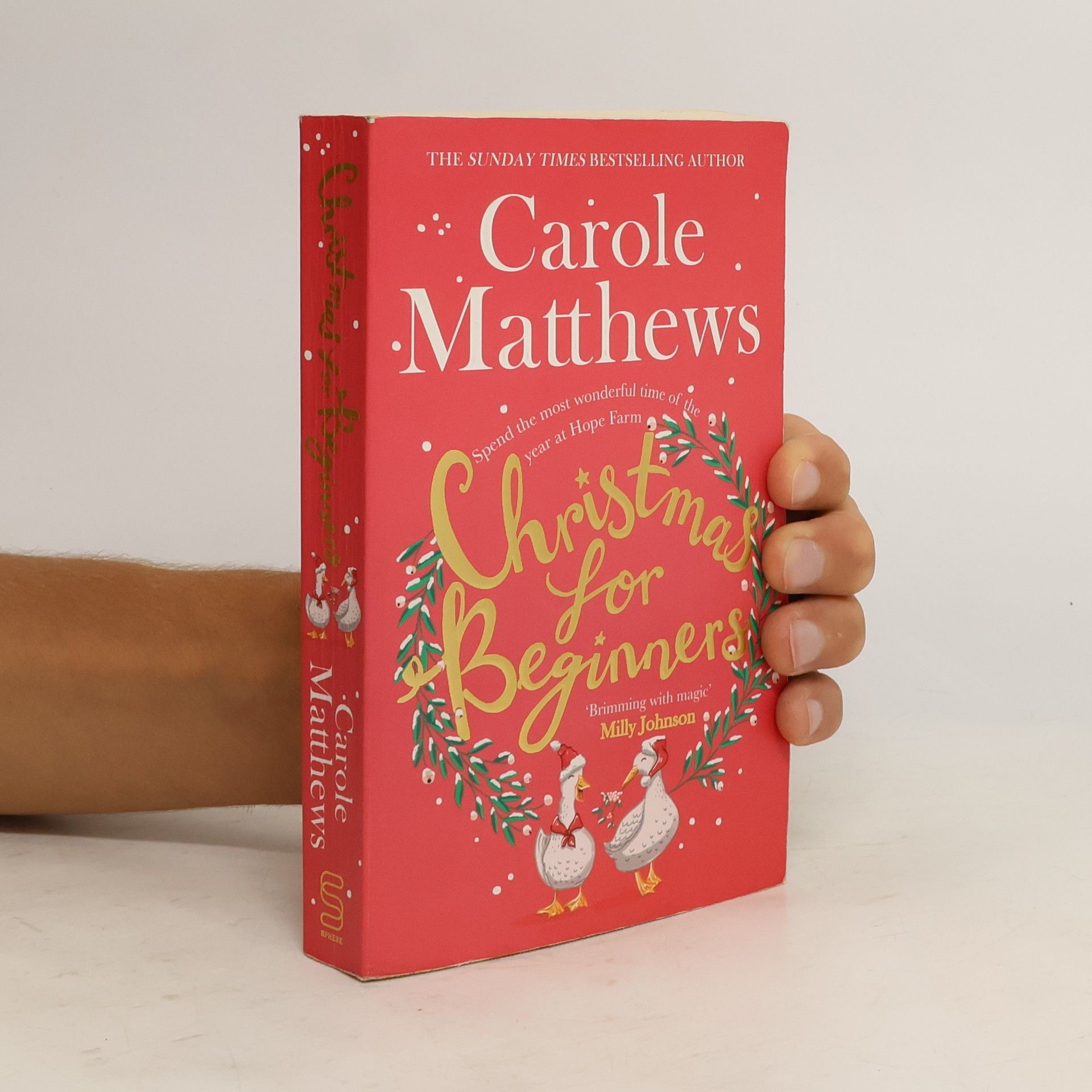 Carole Matthews Christmas for Beginners