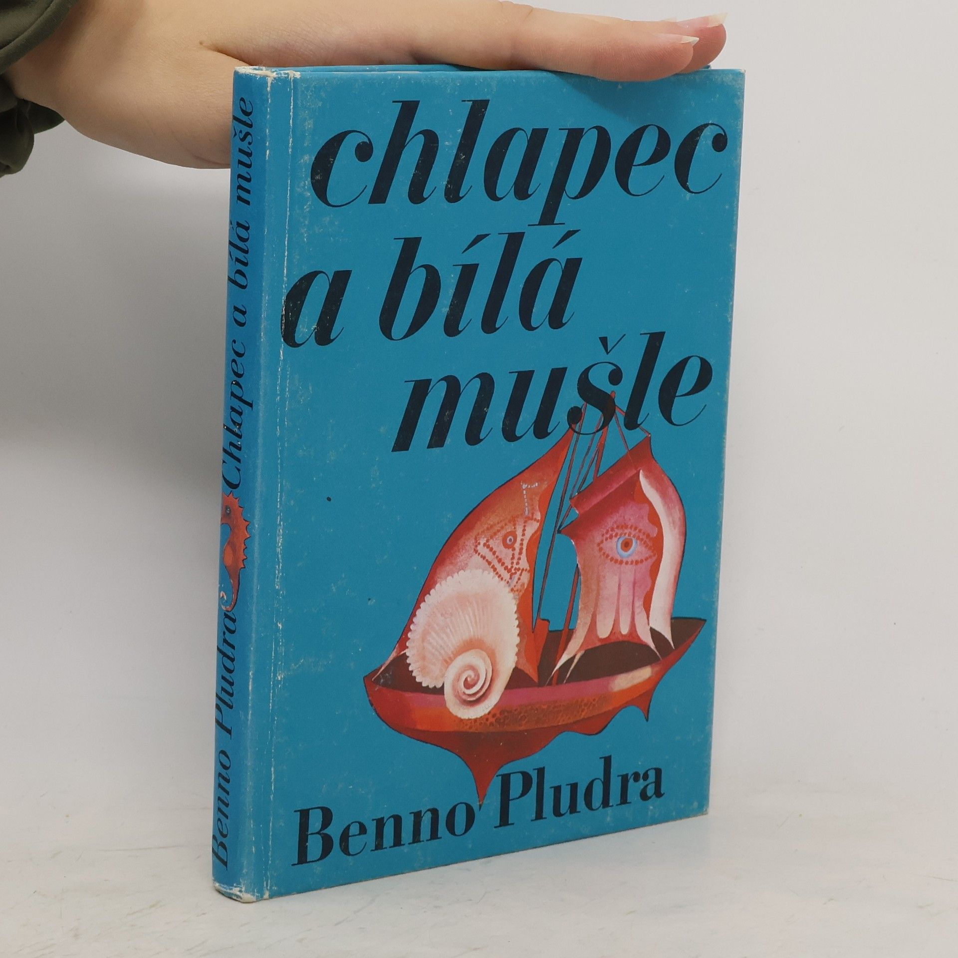 Benno Pludra Chlapec a bílá mušle