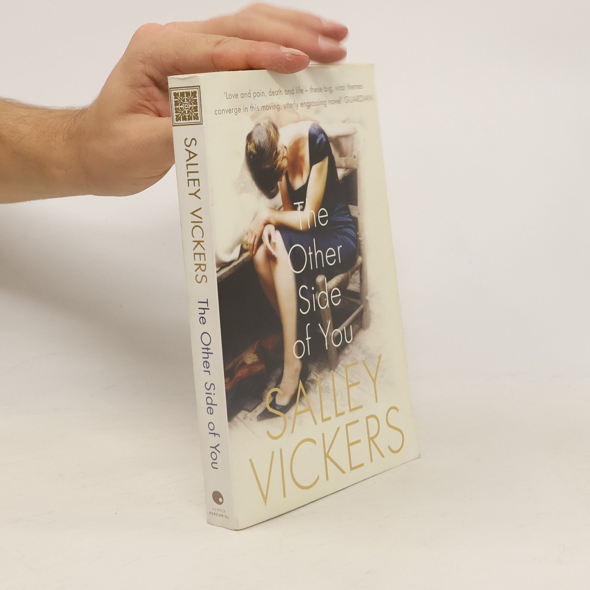 Salley Vickers The Other Side of You