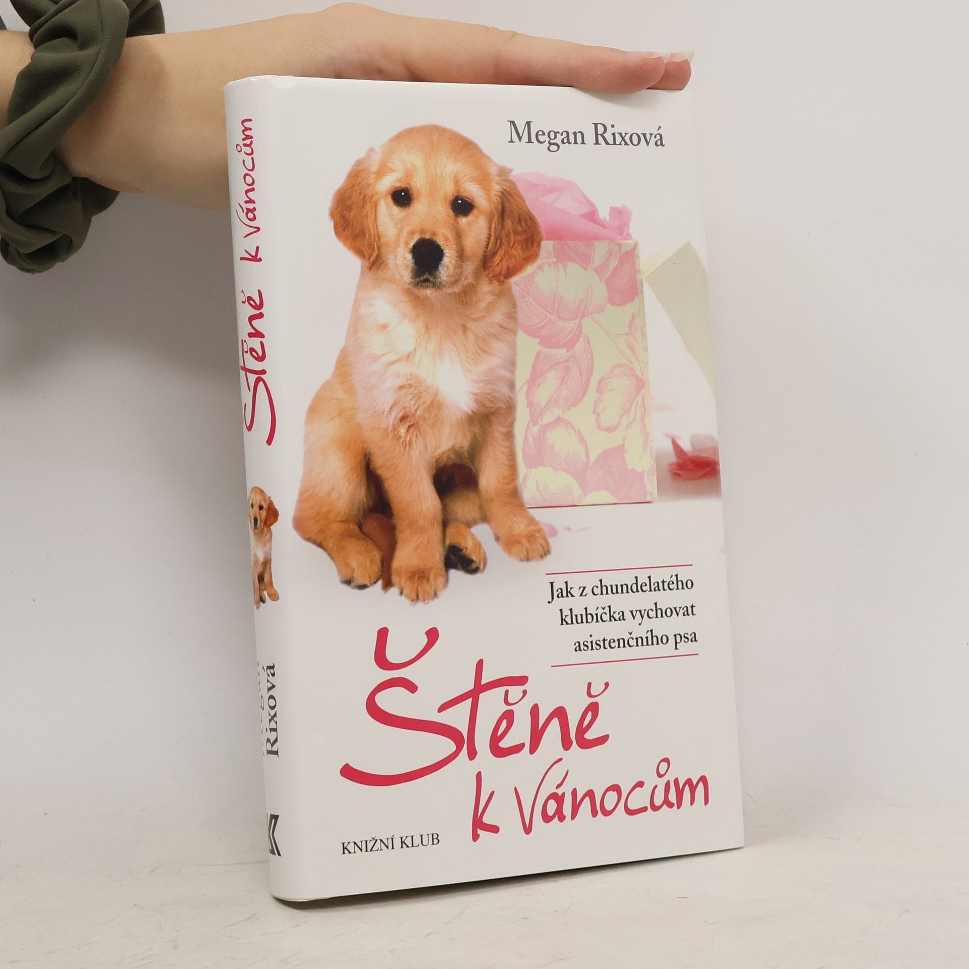 Megan Rix Štěně k Vánocům