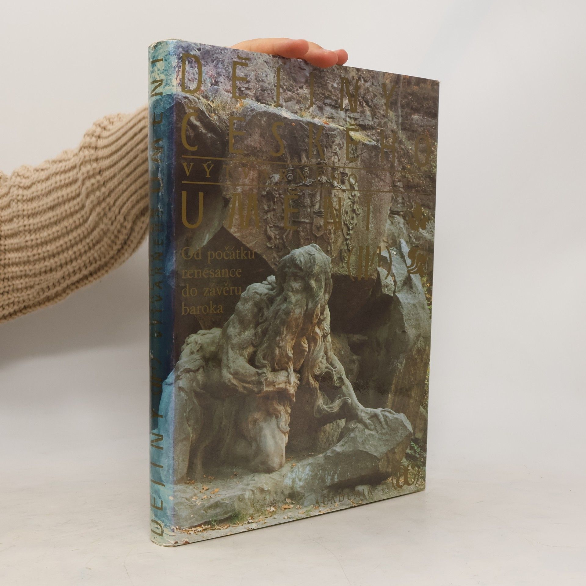 Collectif d'auteurs Dějiny českého výtvarného umění II/1