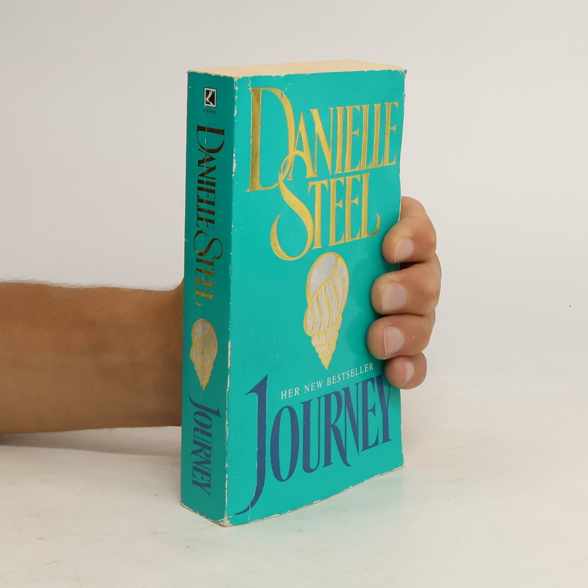 Danielle Steel Journey