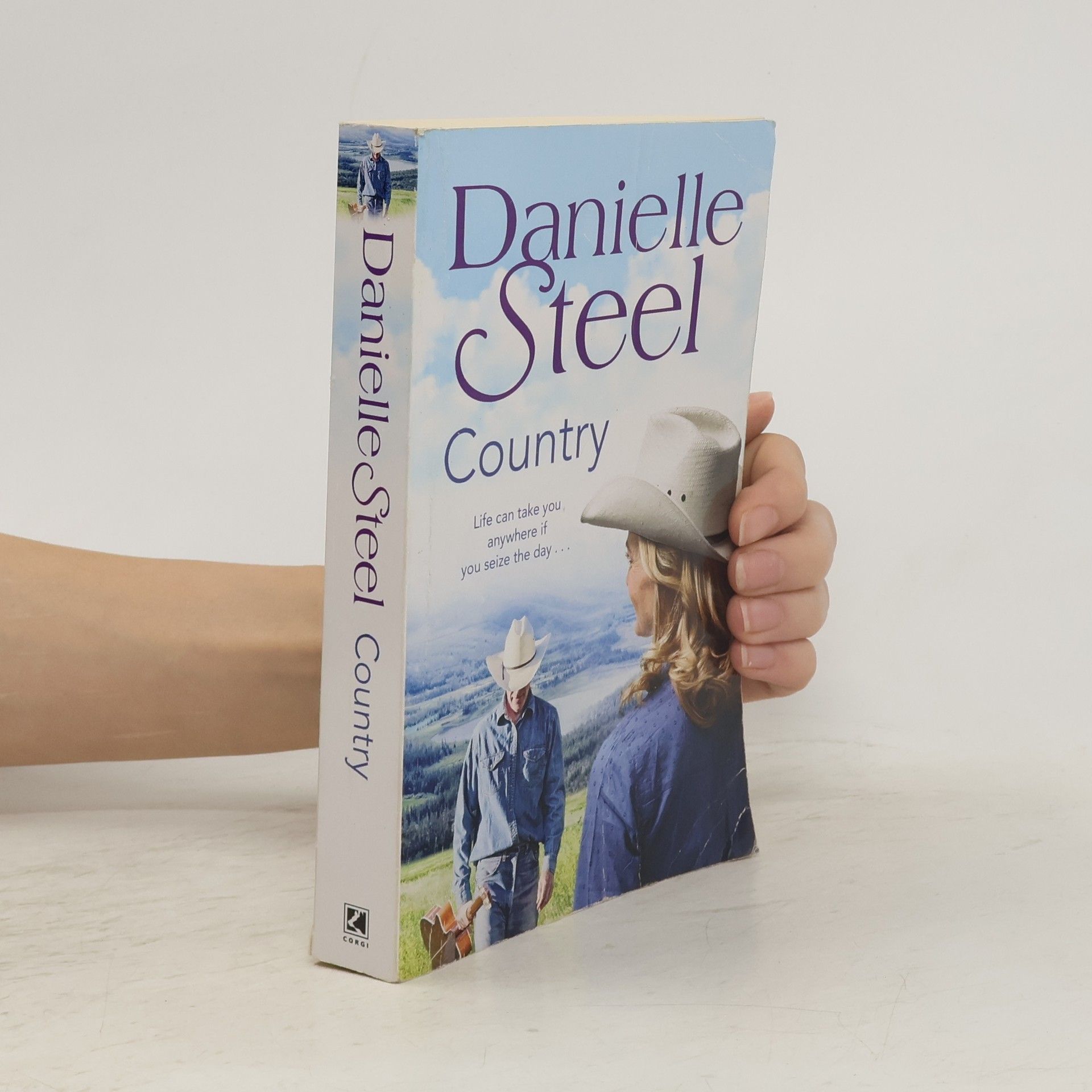 Danielle Steel Country