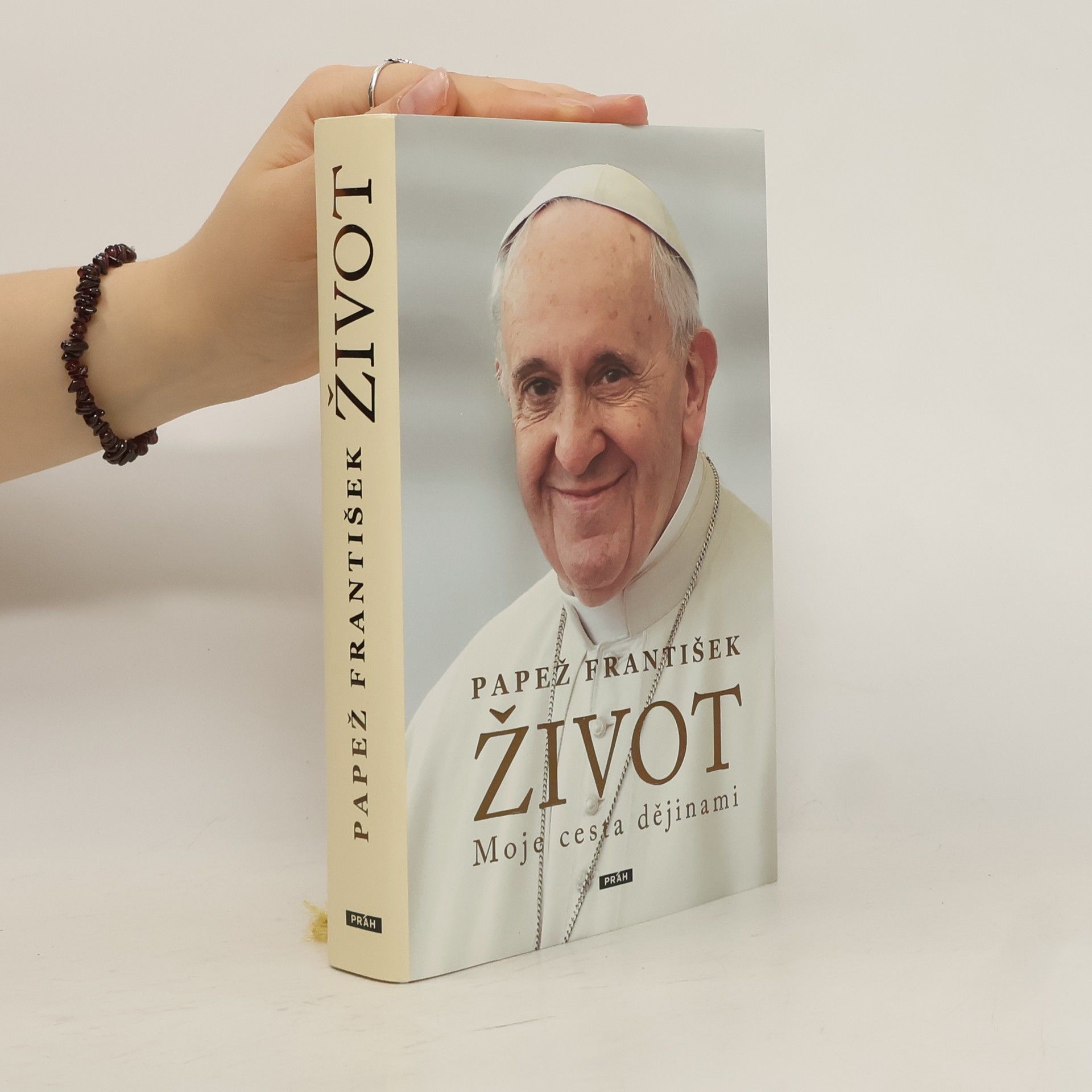Pope Francis Život. Moje cesta dějinami