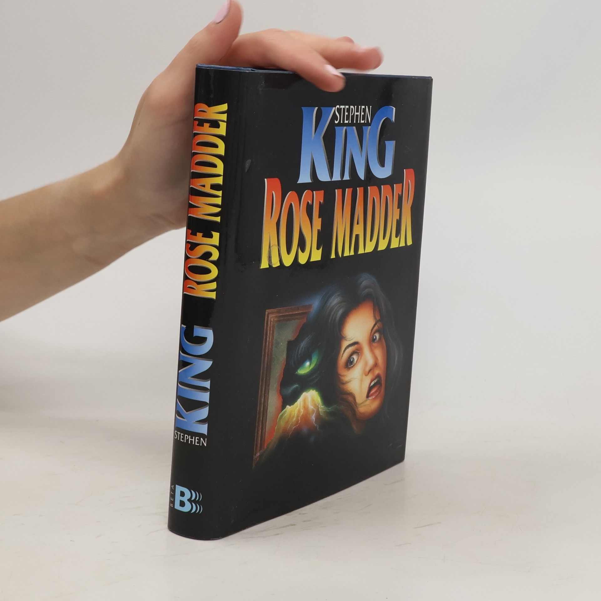 Stephen King Rose Madder