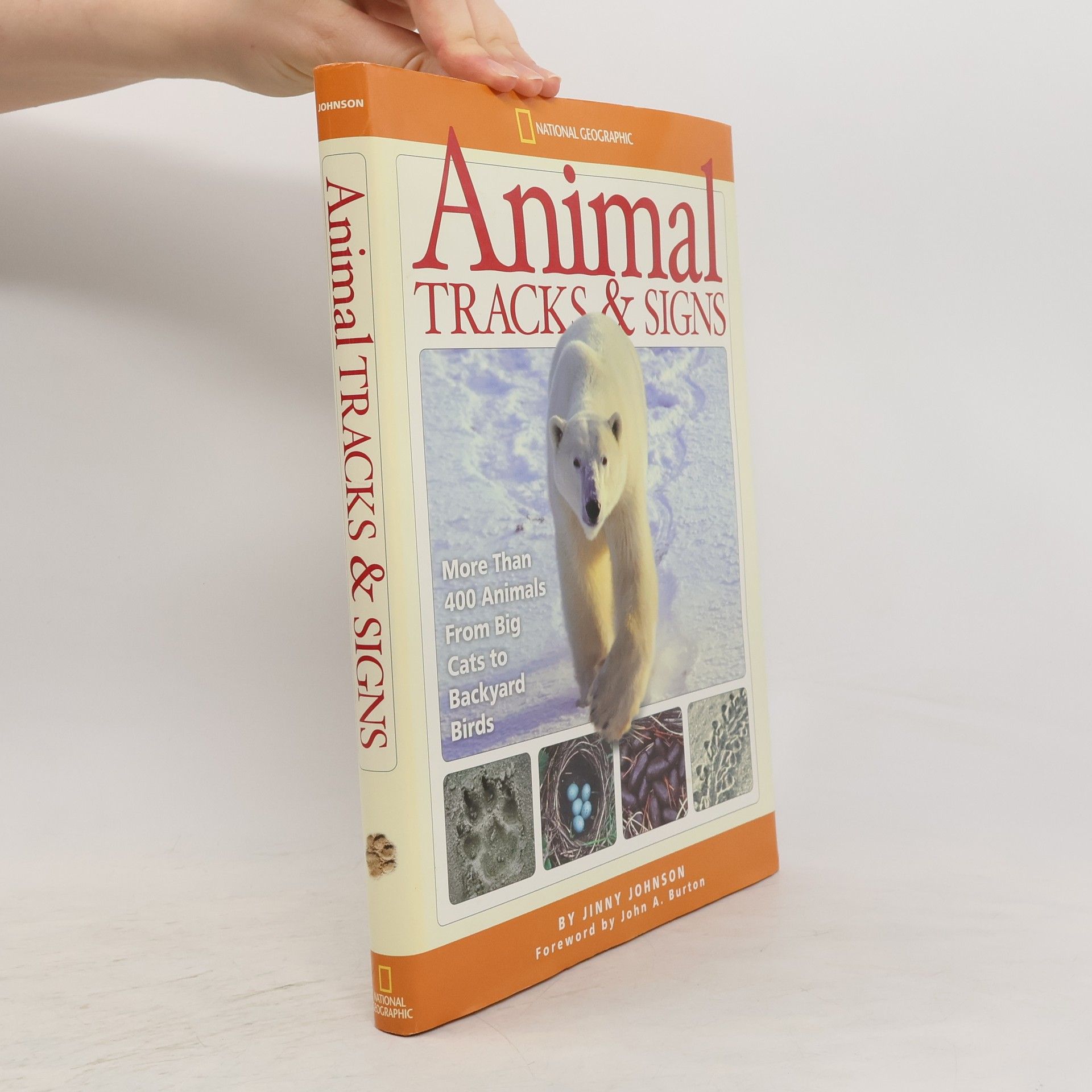Jinny Johnson Animal Tracks & Signs