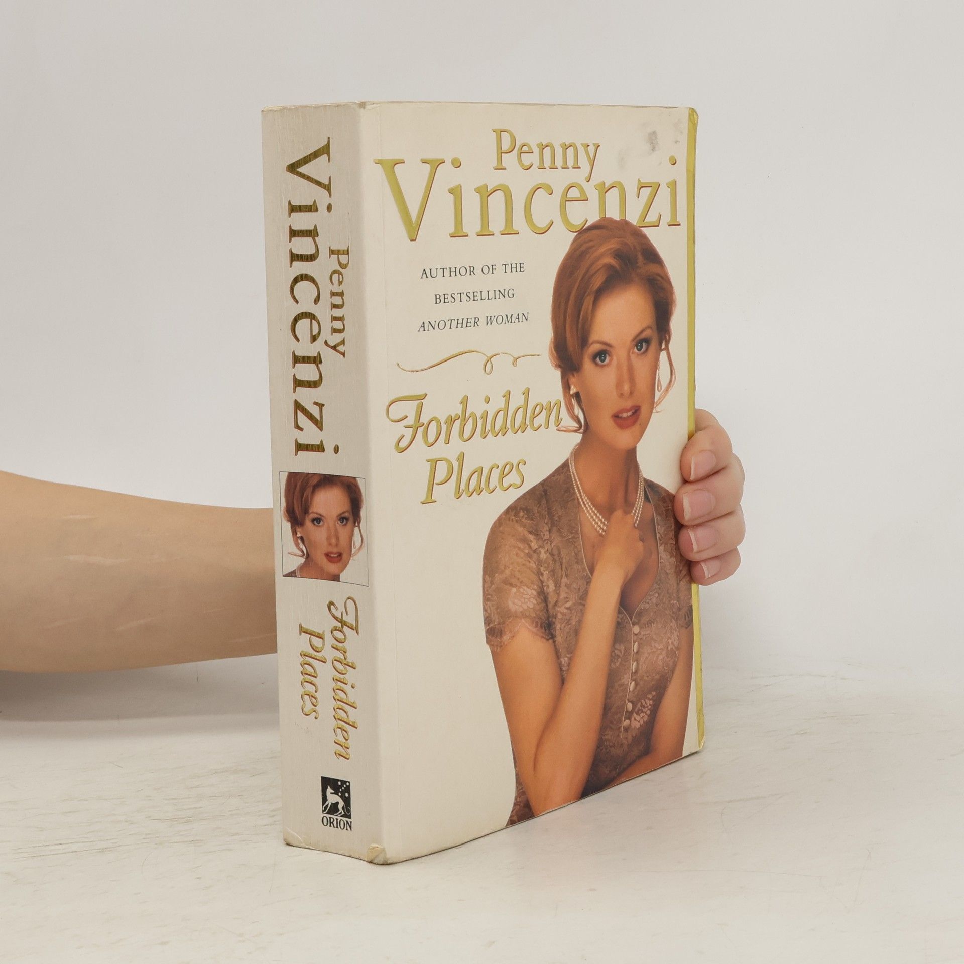 Penny Vincenzi Forbidden Places