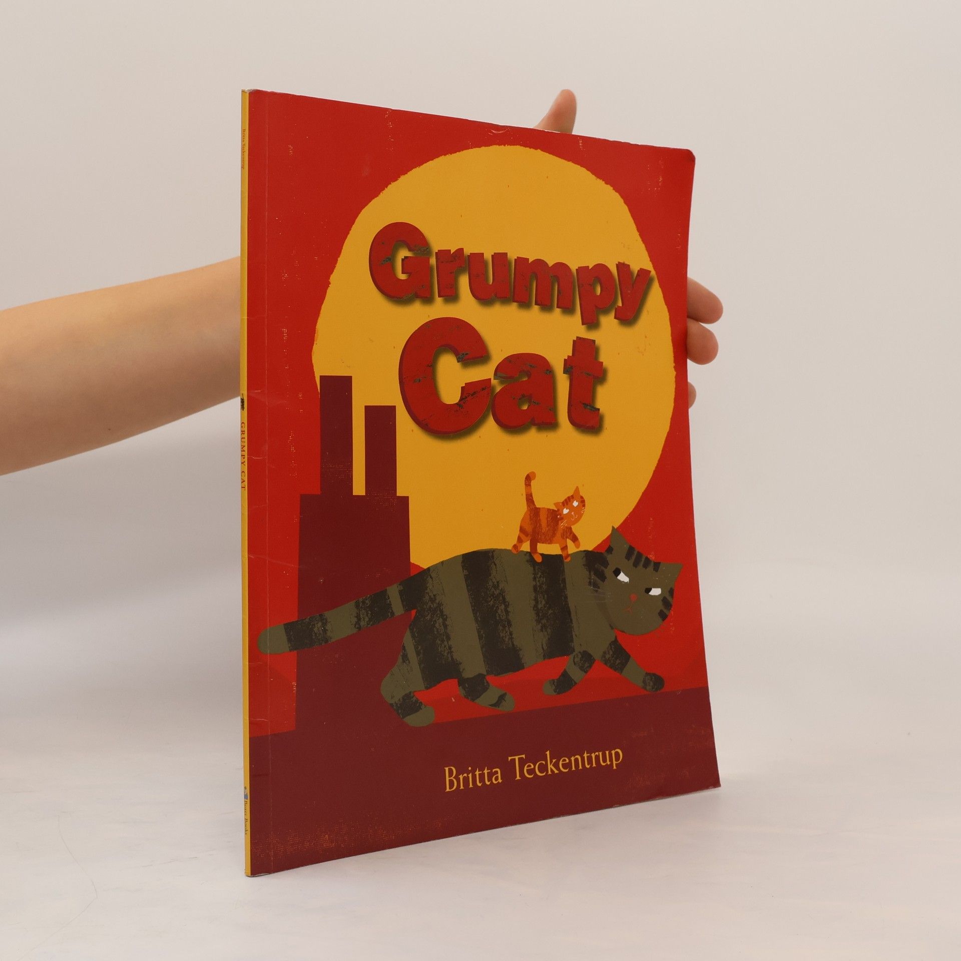 Britta Teckentrup Grumpy Cat