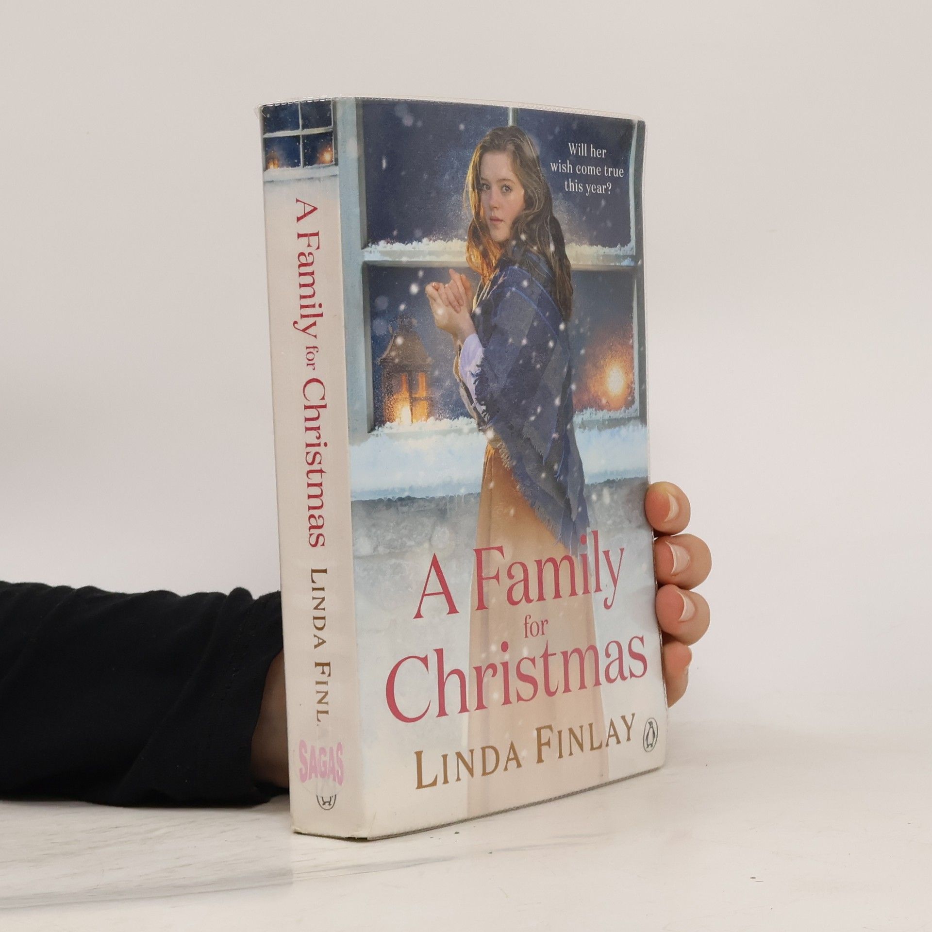 Linda Finlay A Family For Christmas