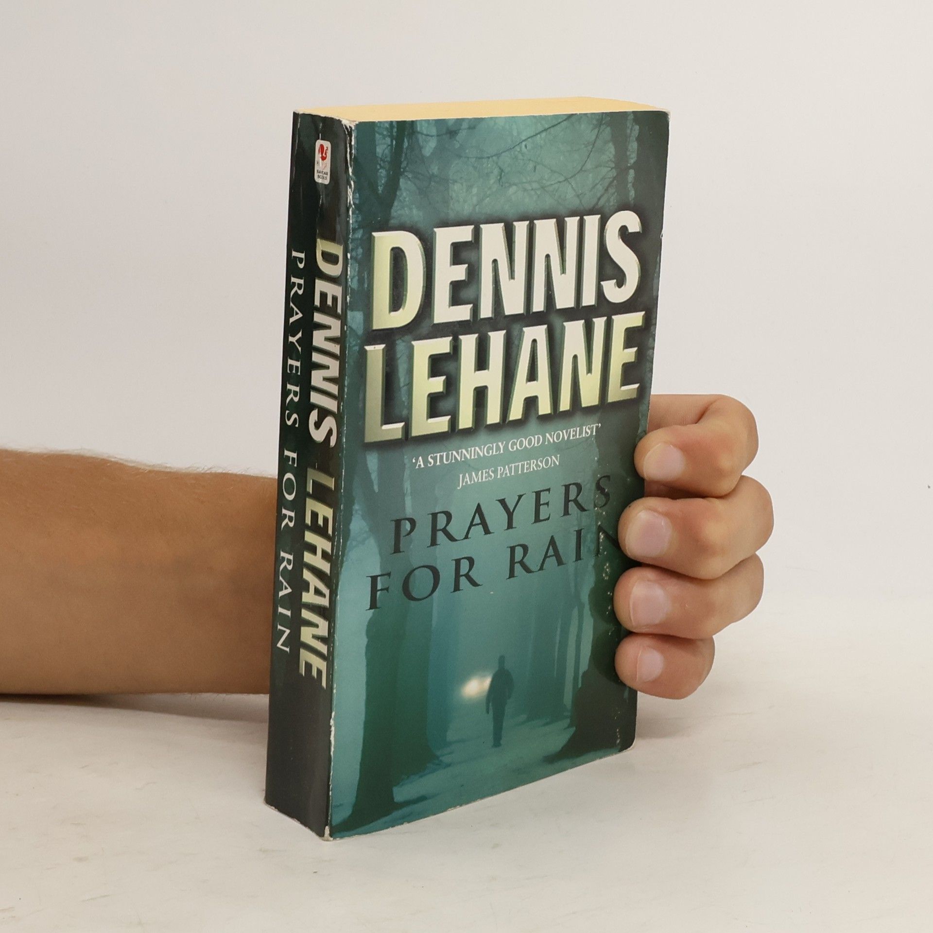 Dennis Lehane Prayers for rain