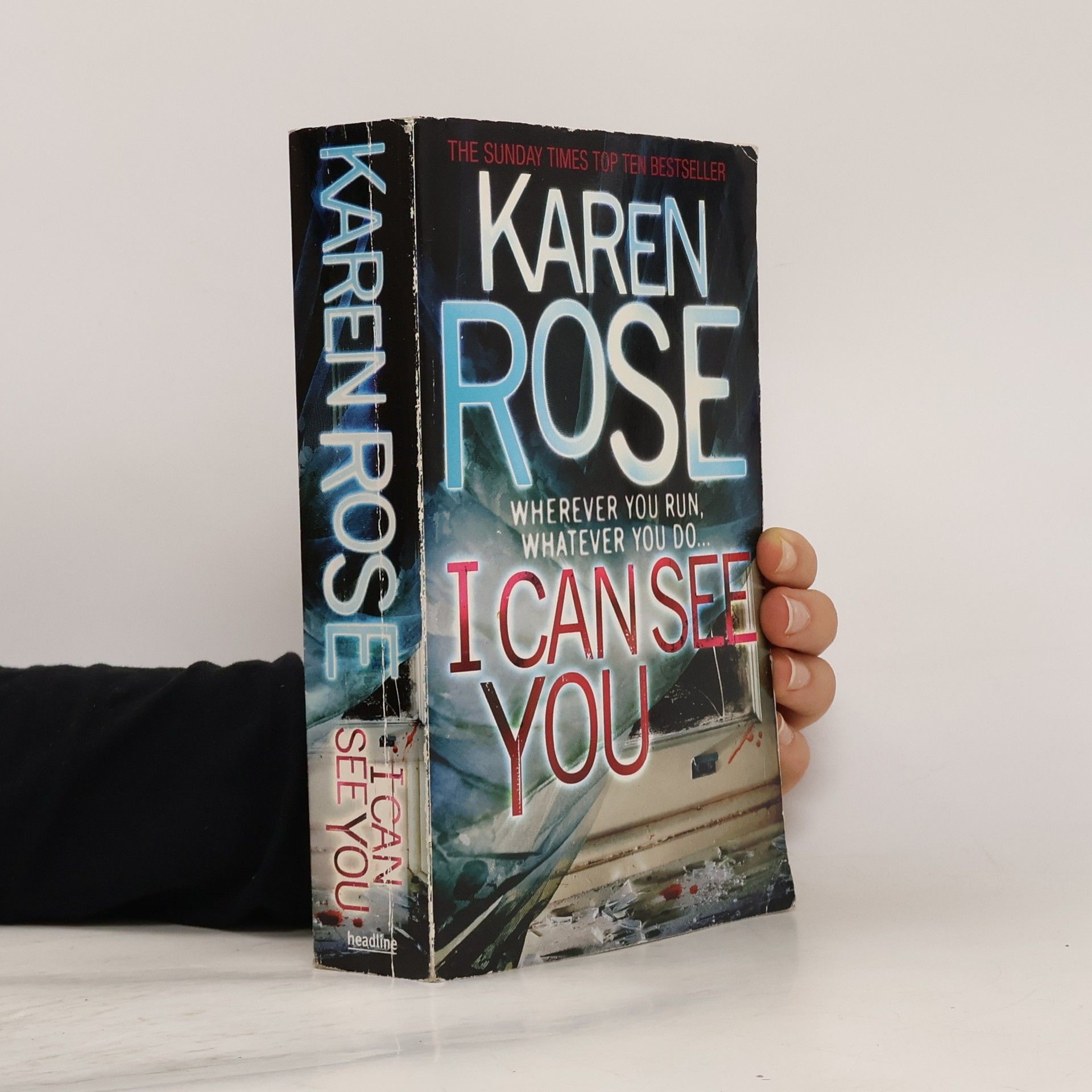 Karen Rose I Can See You