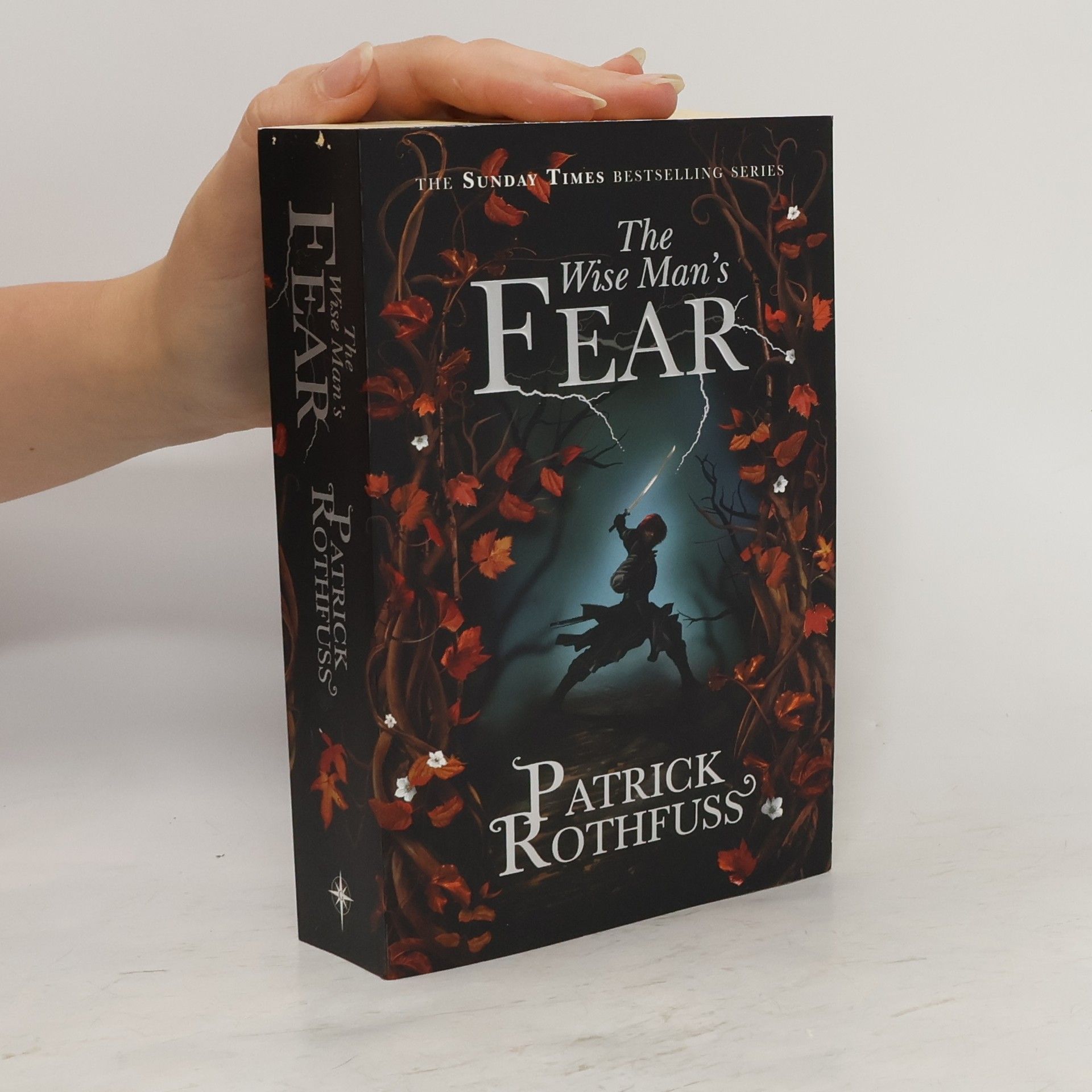 Patrick Rothfuss The wise man's fear