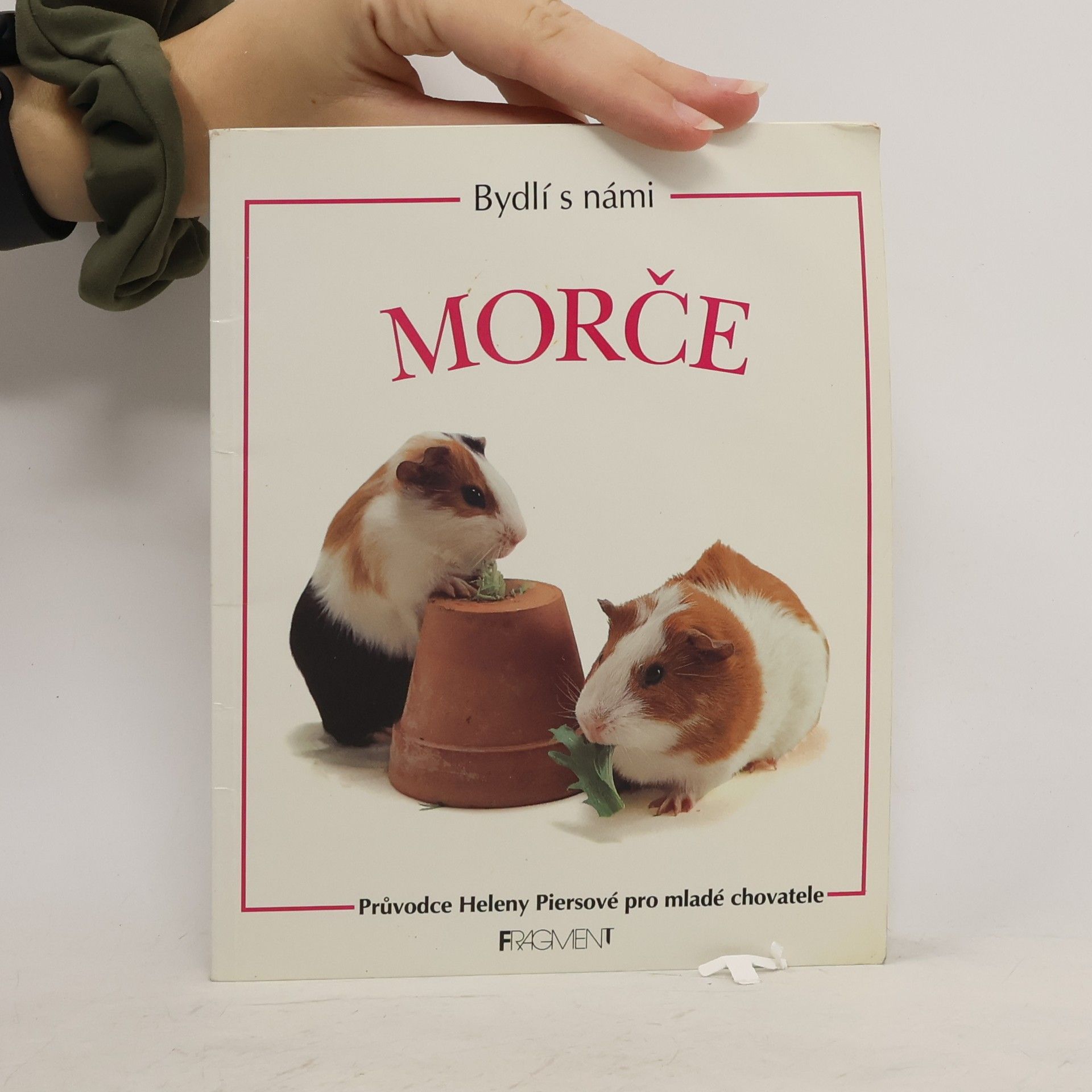 Helen Piers Bydlí s námi morče