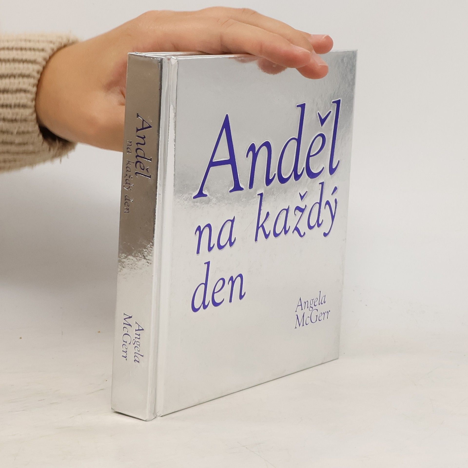 Angela McGerr Anděl na každý den