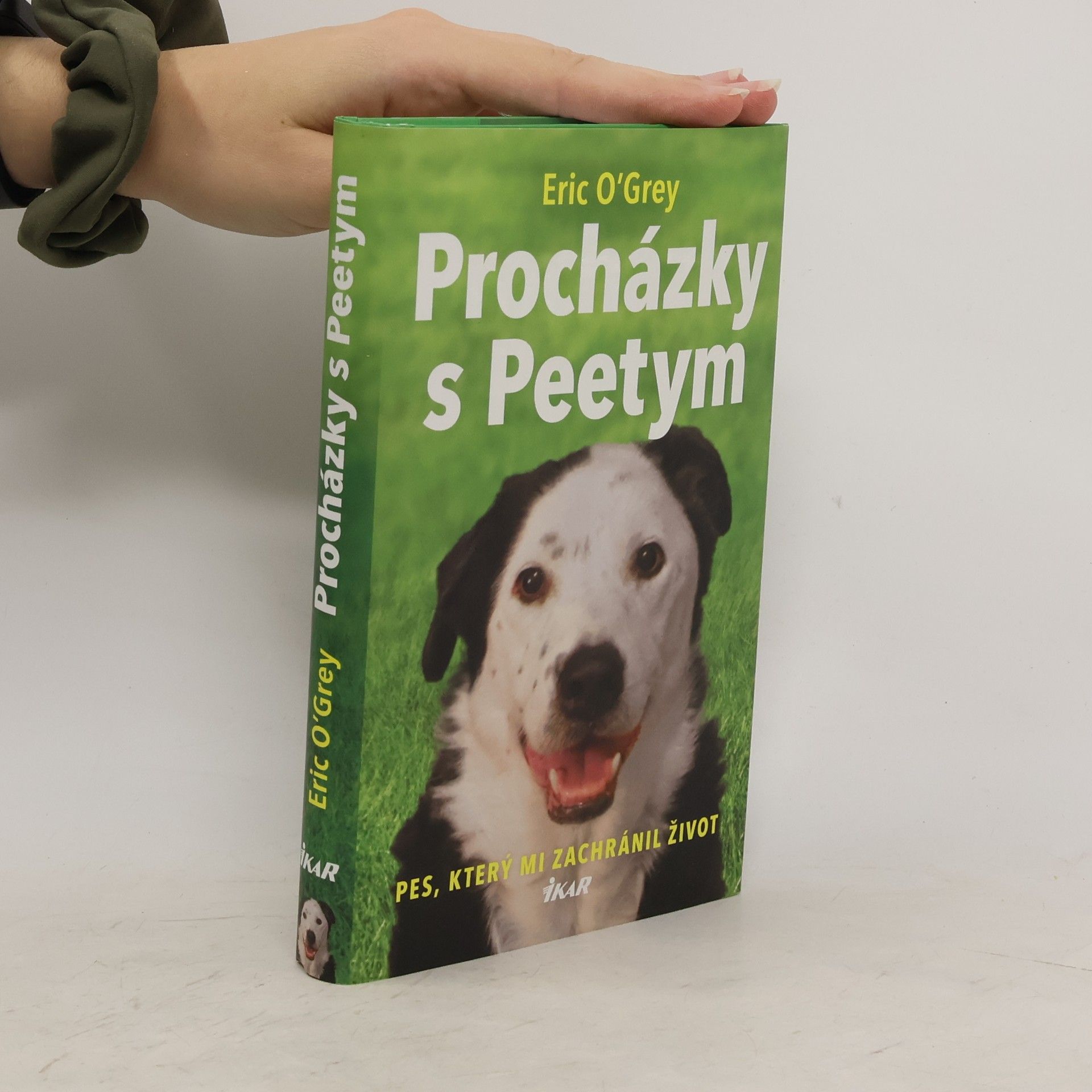 Eric OGrey Procházky s Peetym : pes, který mi zachránil život