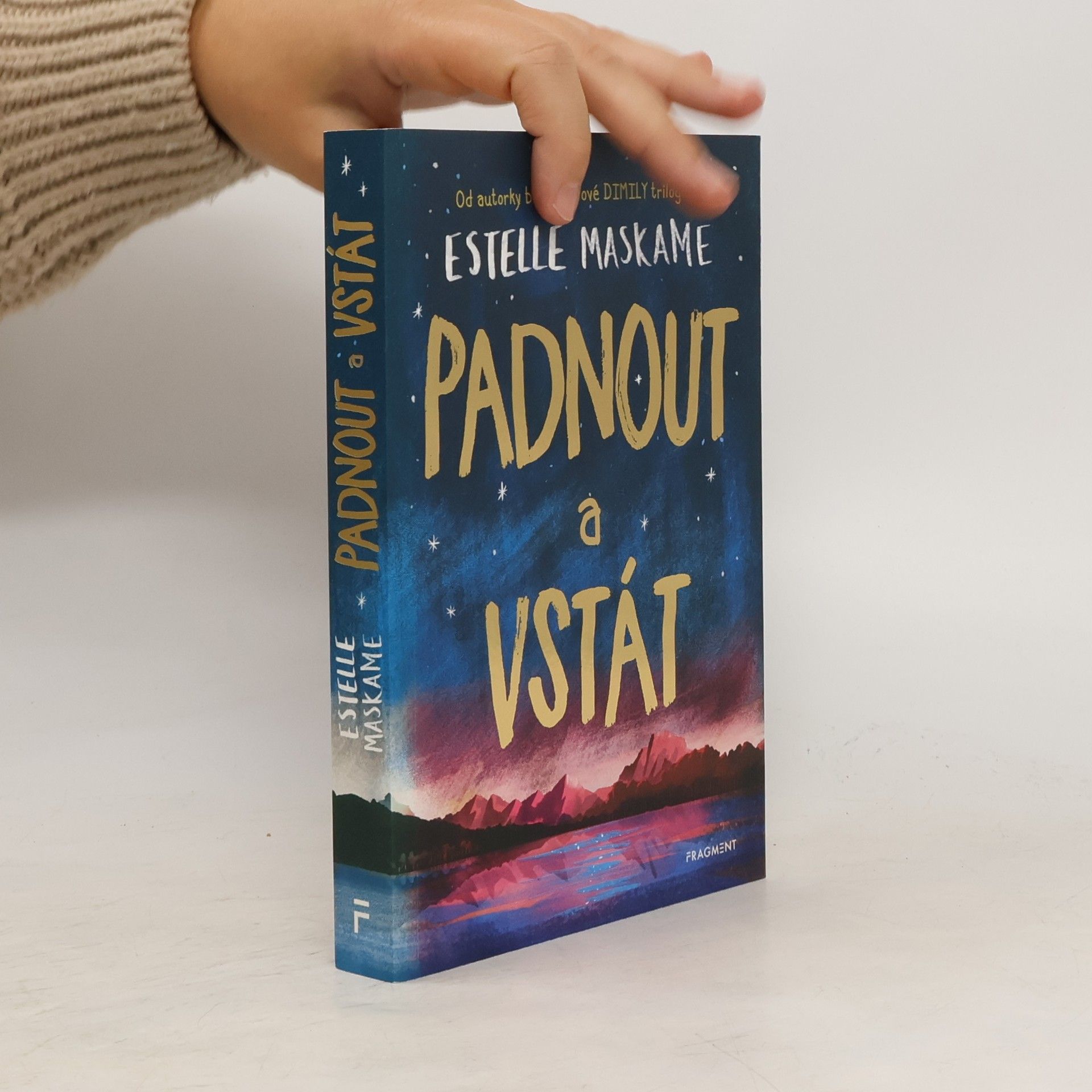 Estelle Maskame Padnout a vstát