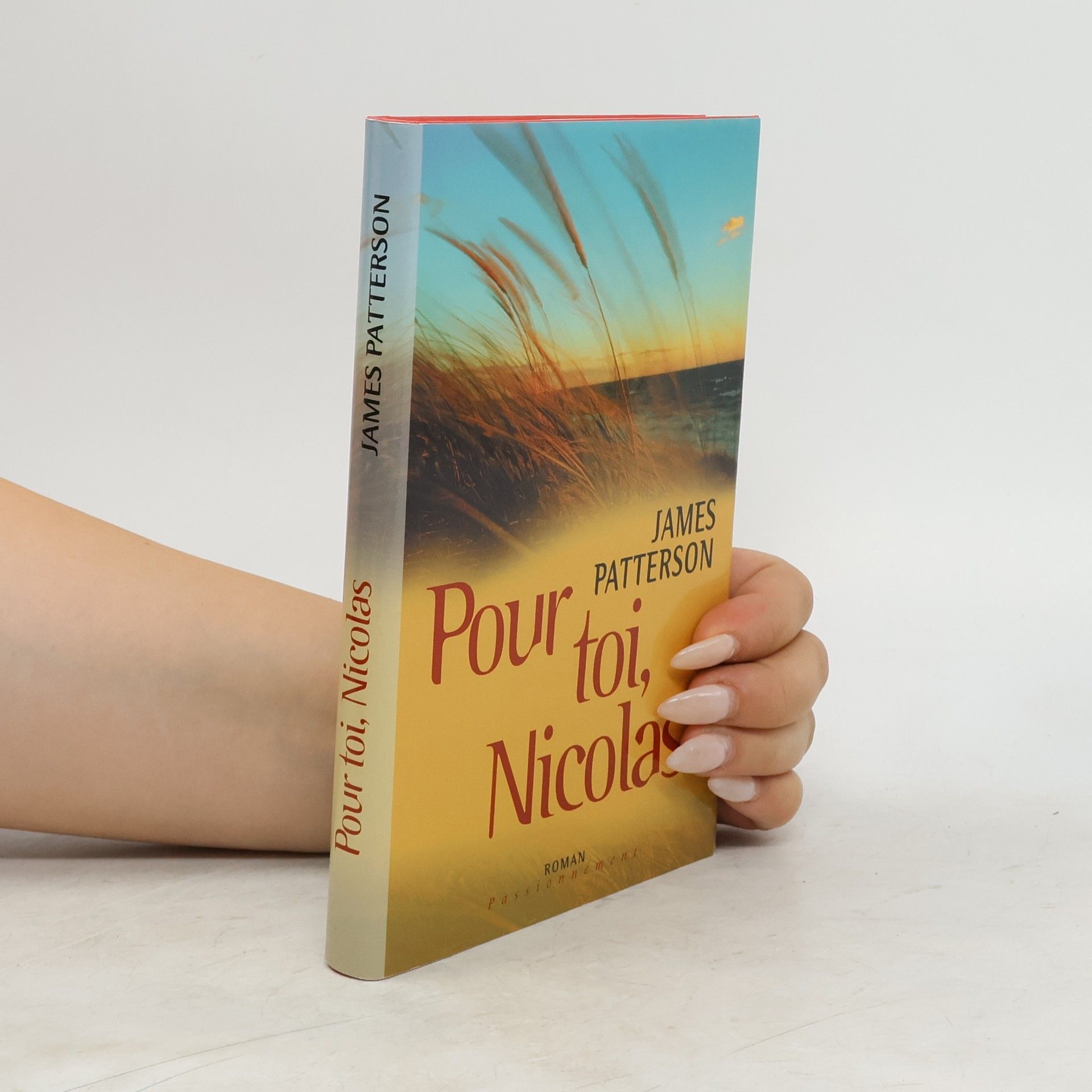 James Patterson Pour toi, Nicolas