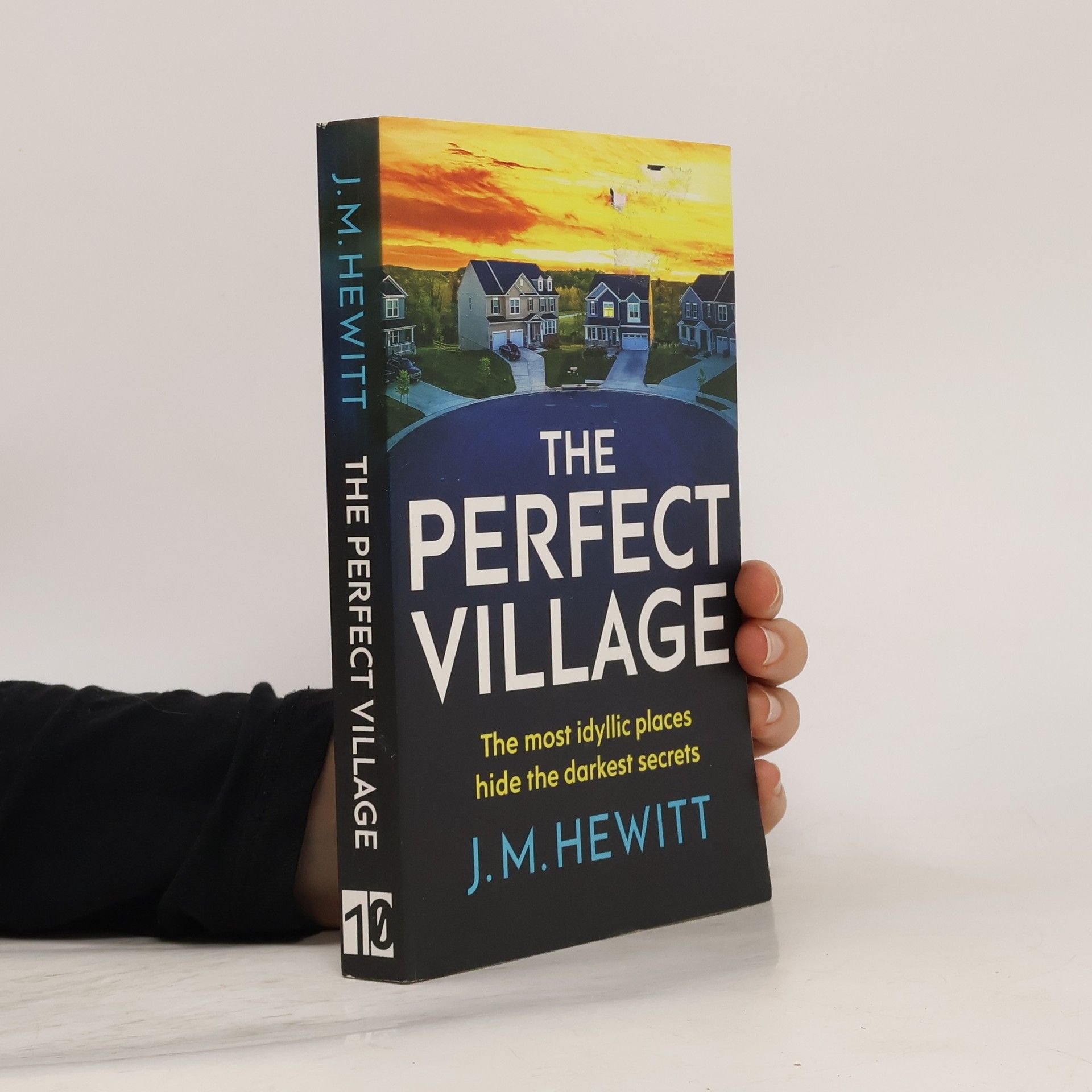 Hewitt T. The Perfect Village