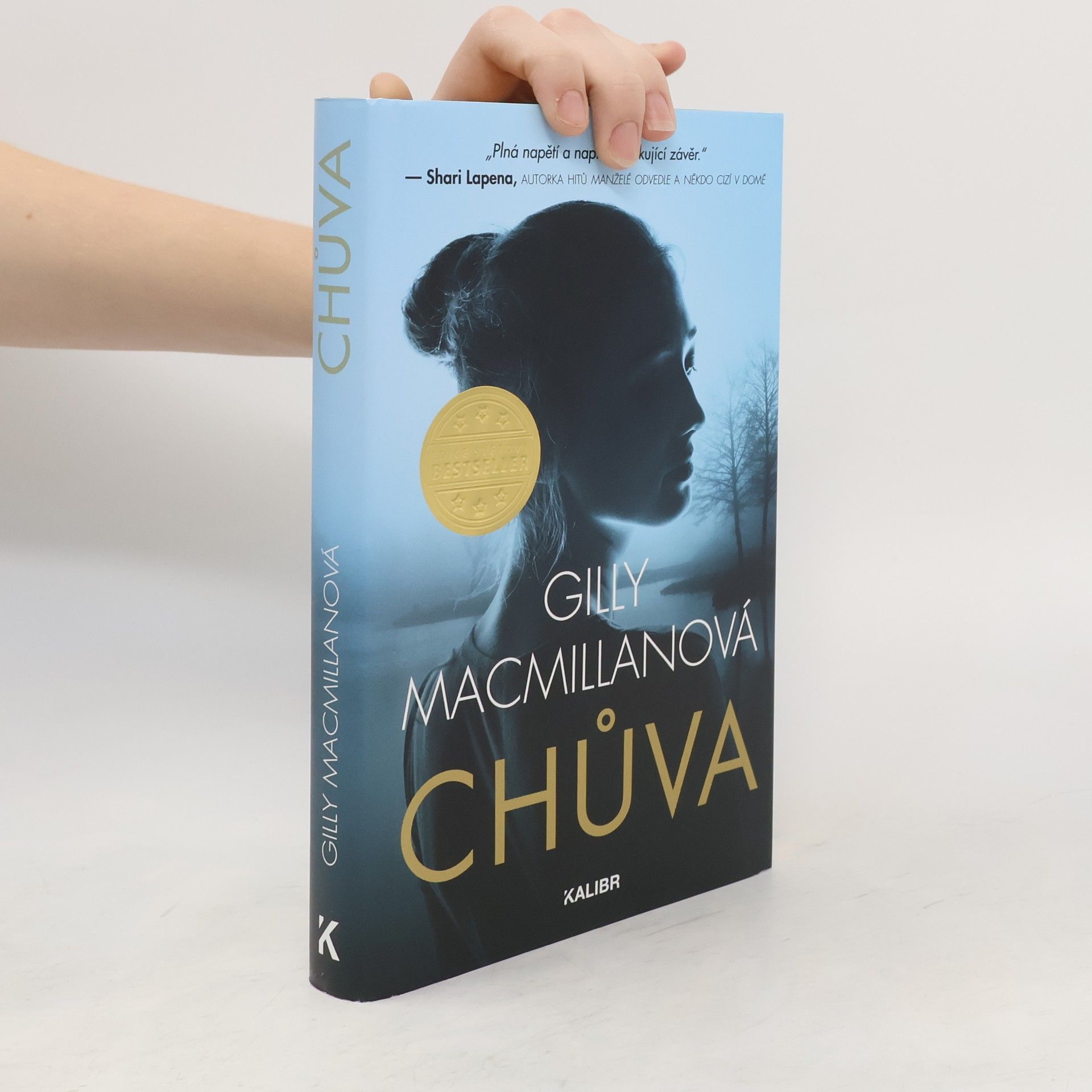 Gilly Macmillan Chůva