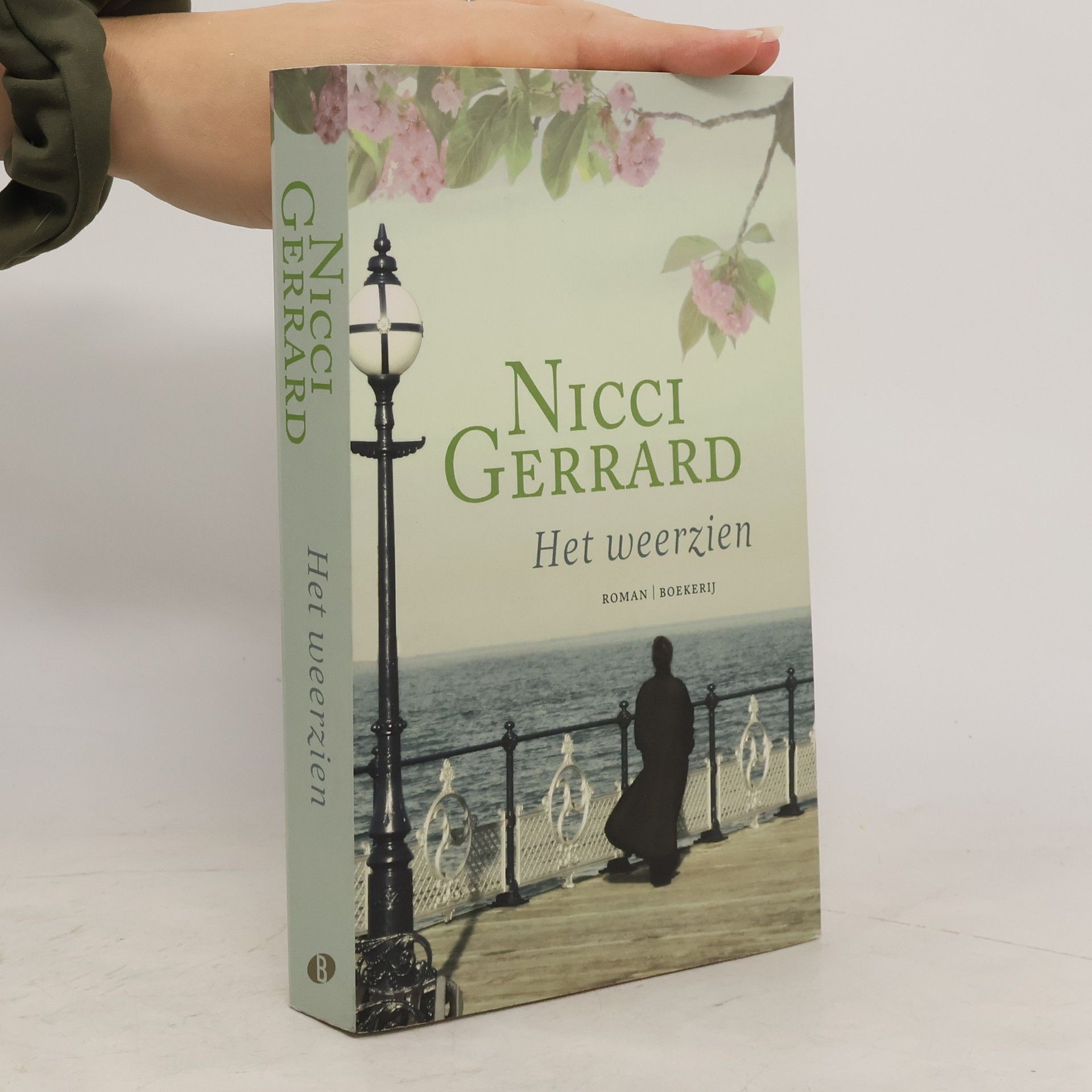 Nicci Gerrard Het weerzien