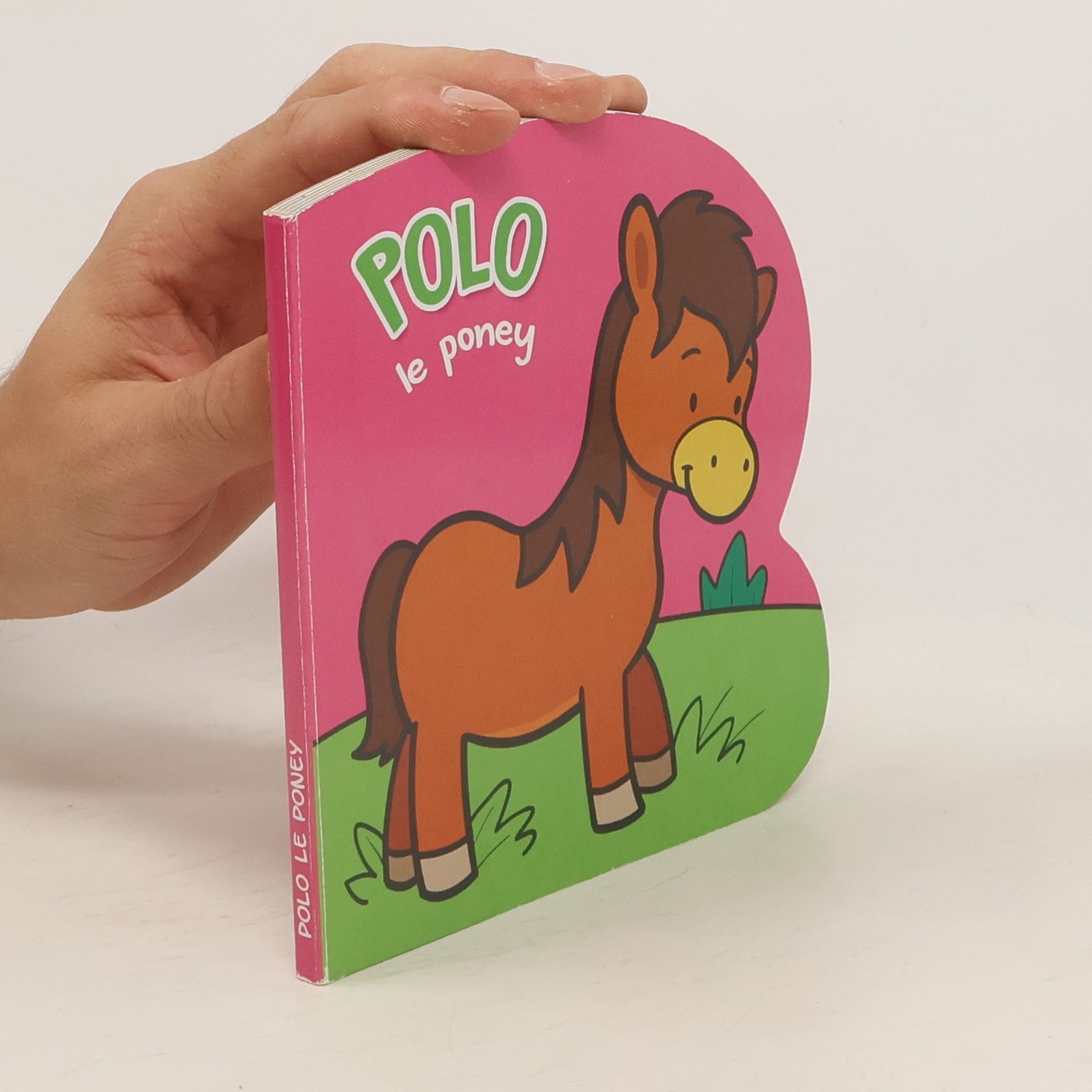 kolektiv Polo le poney