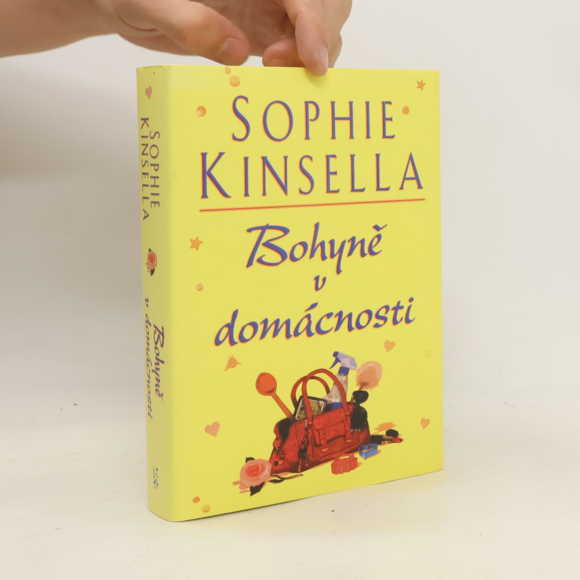 Madeleine Wickham Bohyně v domácnosti