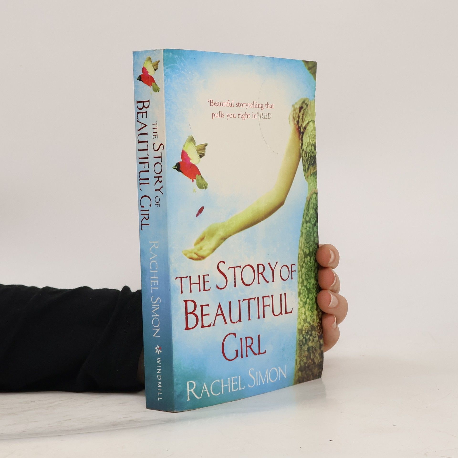 Rachel Simon The Story of Beautiful Girl