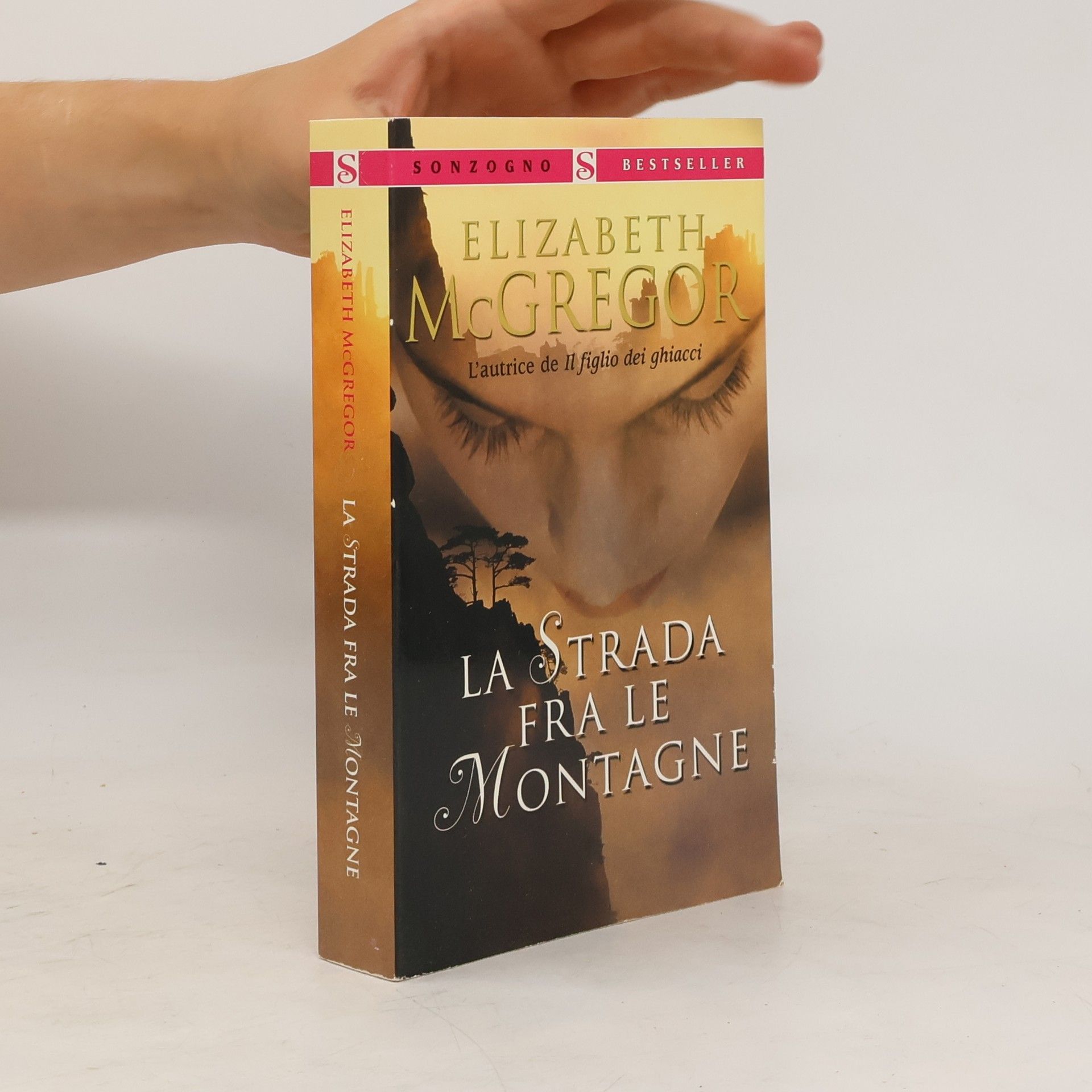 Elizabeth McGregor La strada fra le montagne