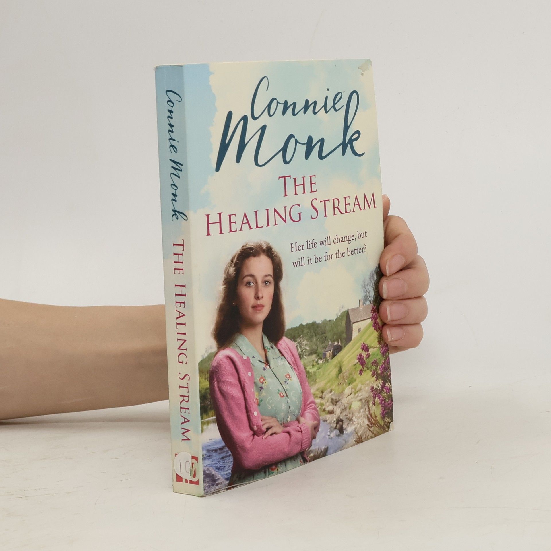 Connie Monk The Healing Stream