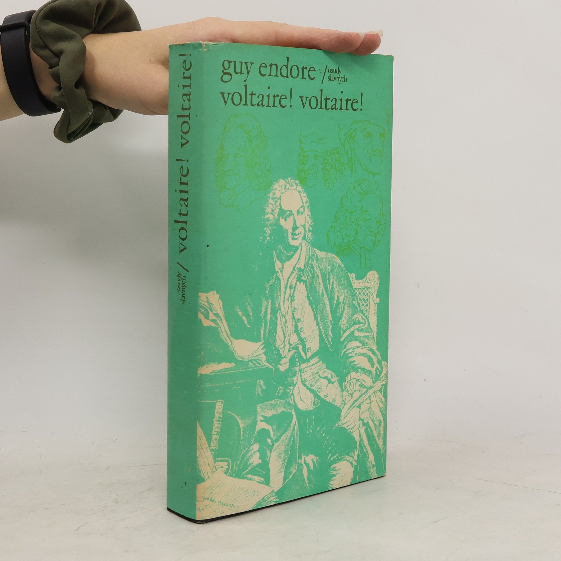 Guy Endore Voltaire! Voltaire!