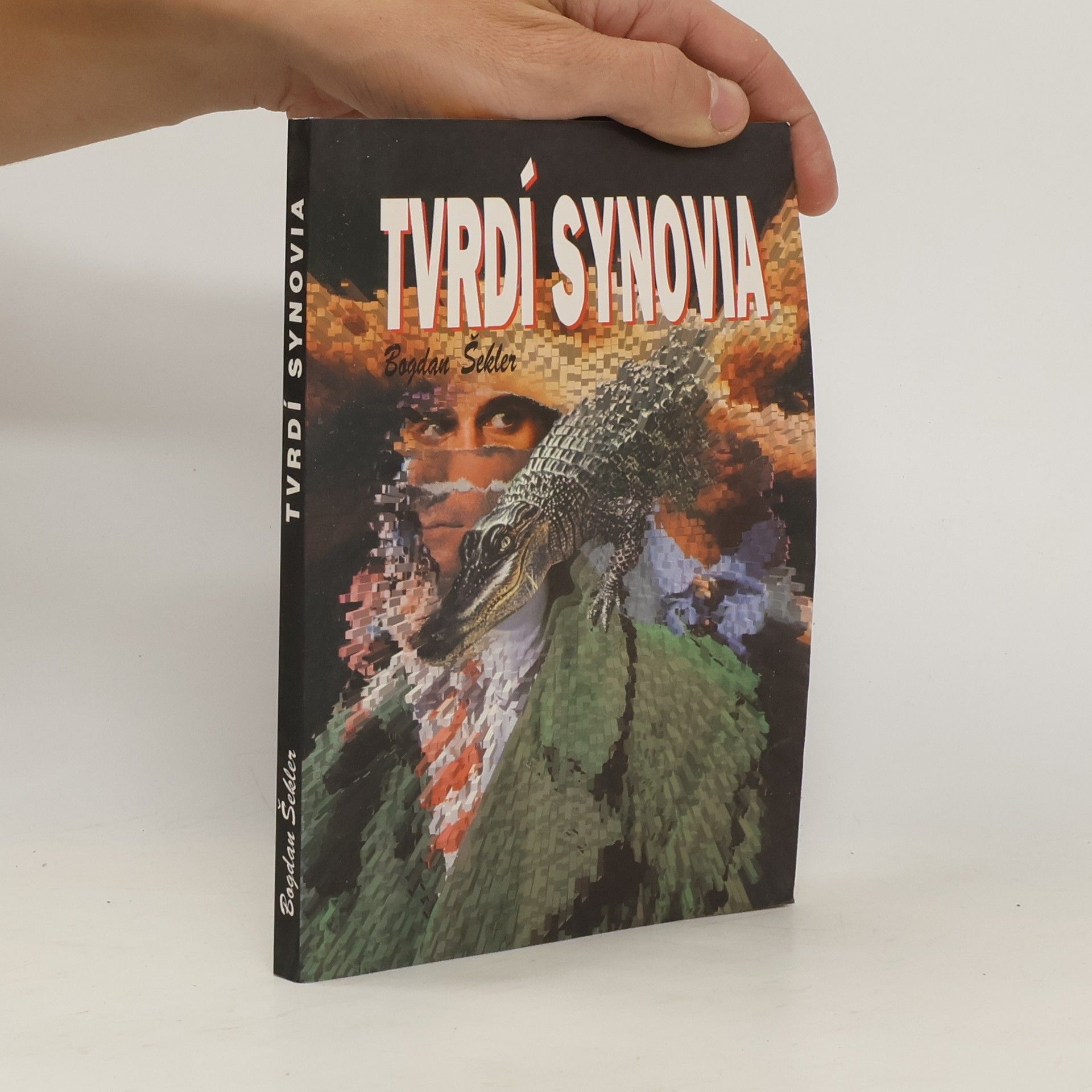 Bogdan Šekler Tvrdí synovia