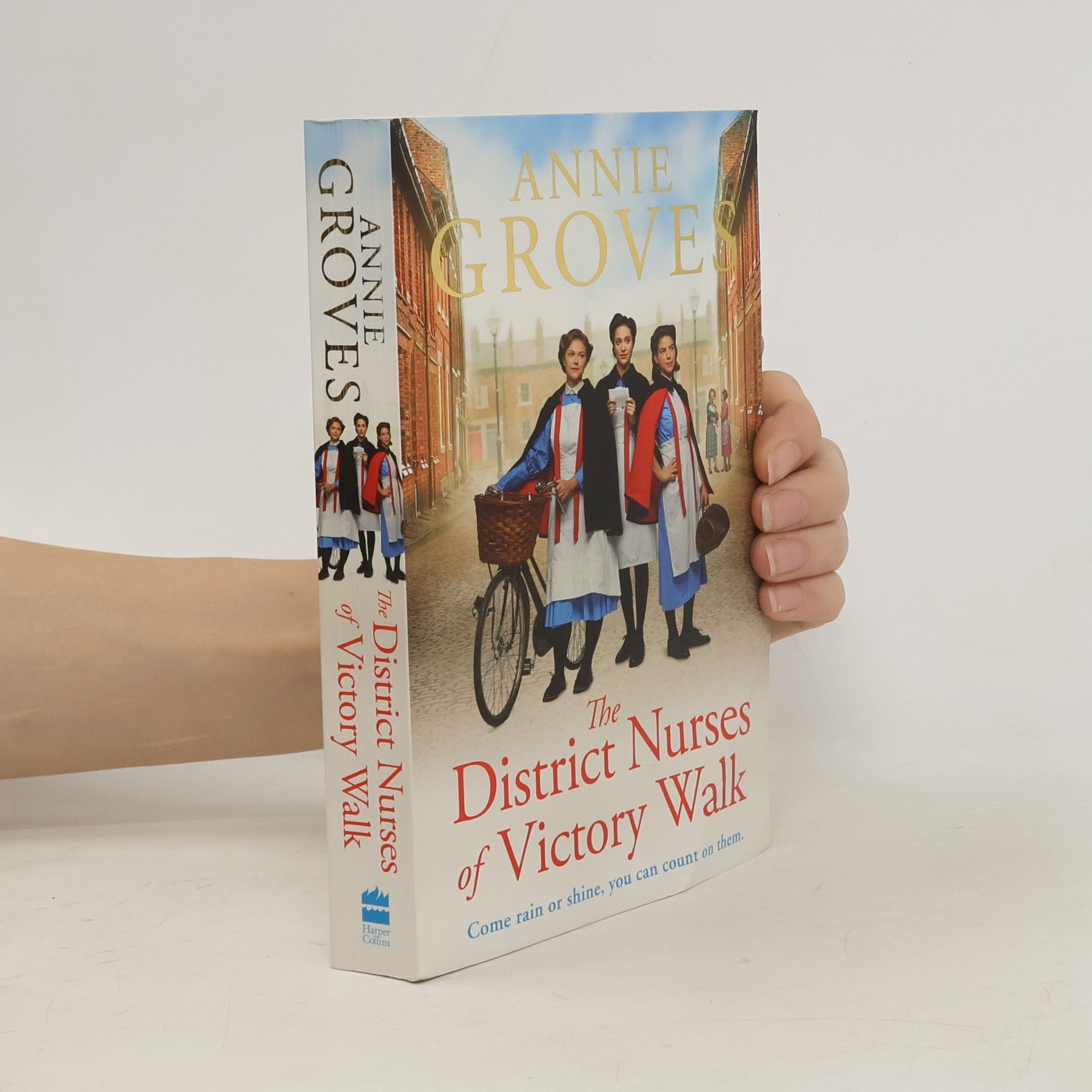Annie Groves The District Nurse