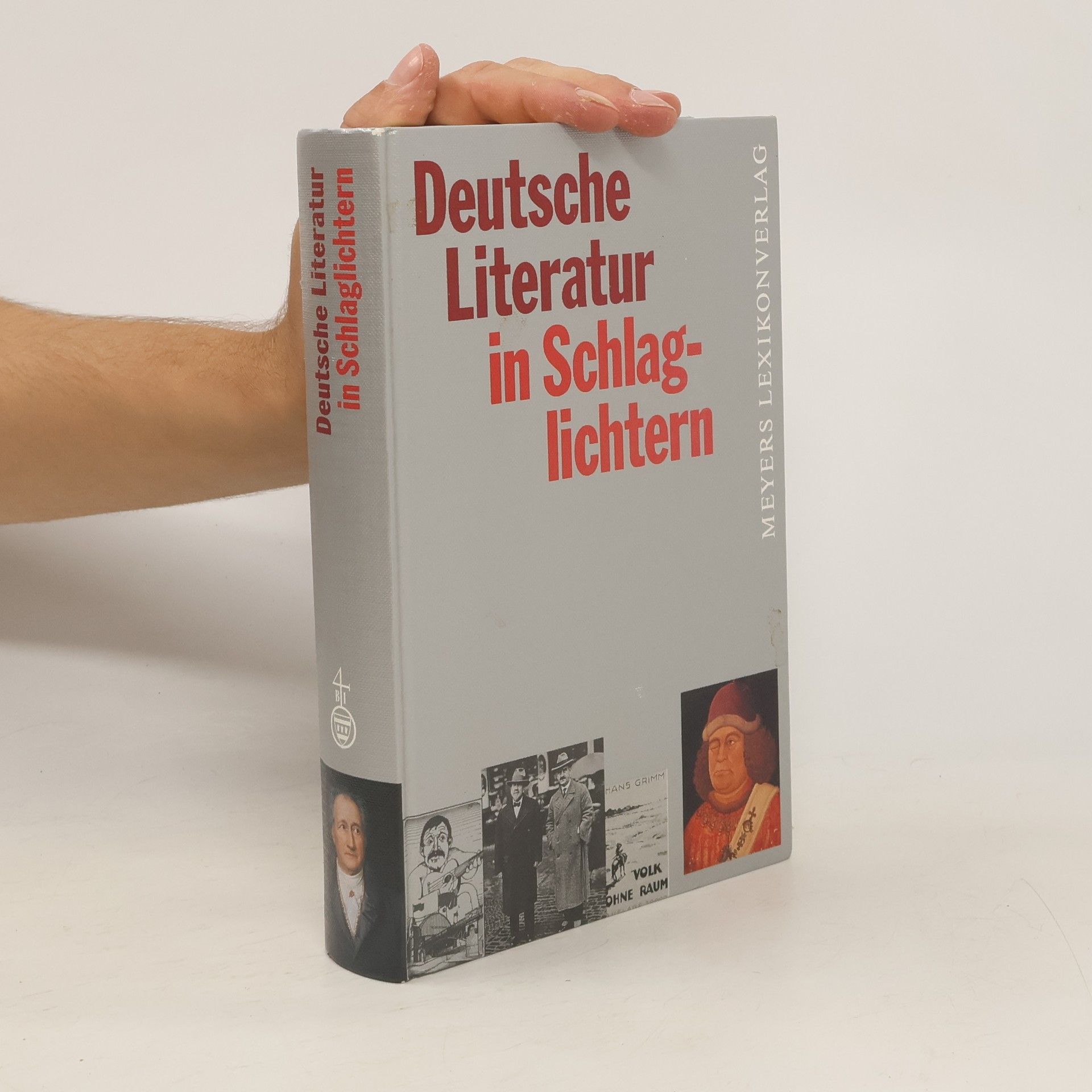 Bernd Balzer Deutsche Literatur in Schlaglichtern