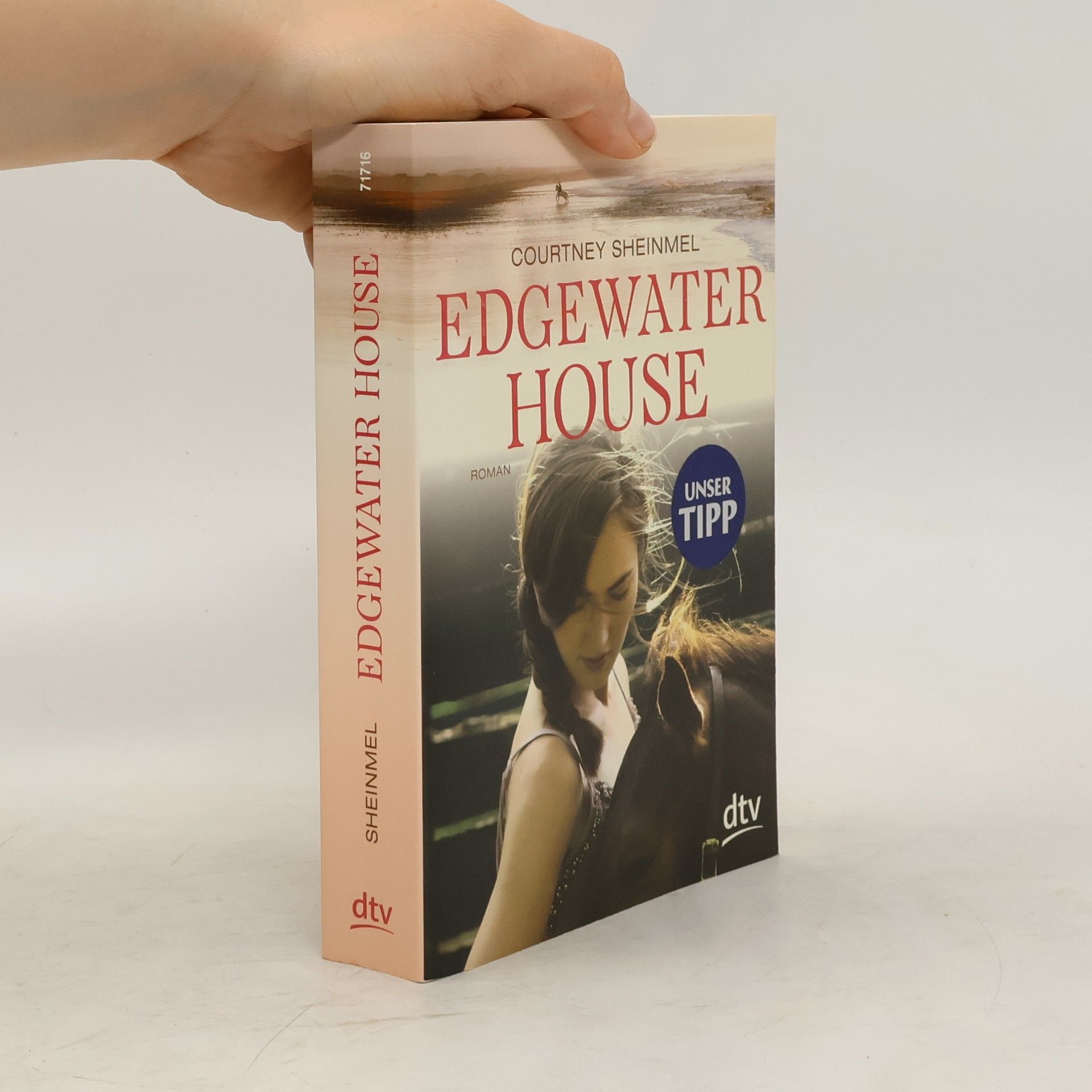 Courtney Sheinmel Edgewater house