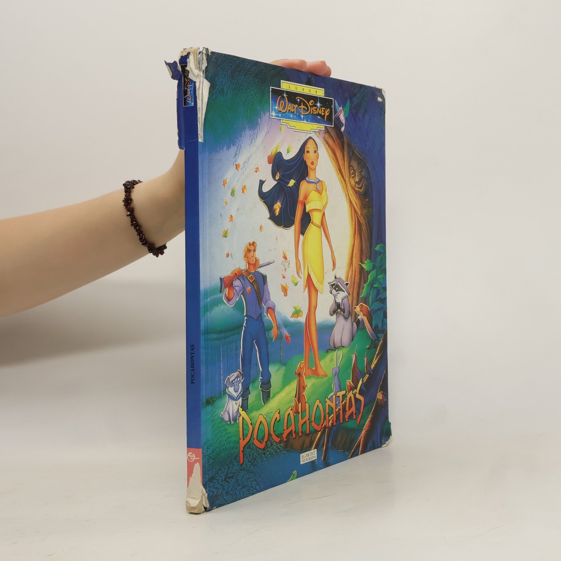 Walt Disney Pocahontas