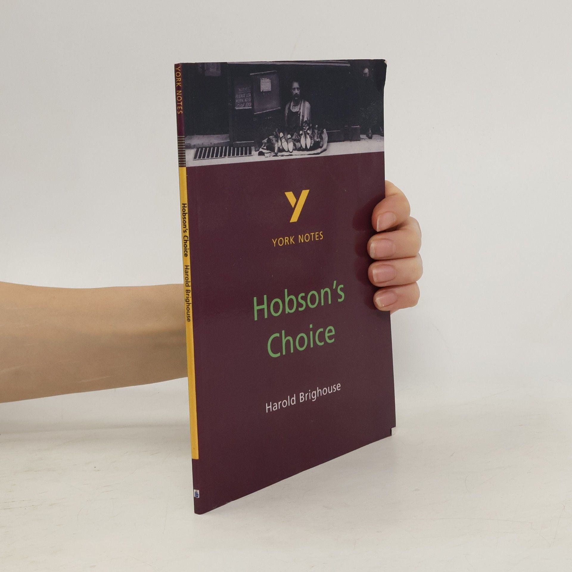 Brian Dyke Hobson's Choice: York Notes for GCSE