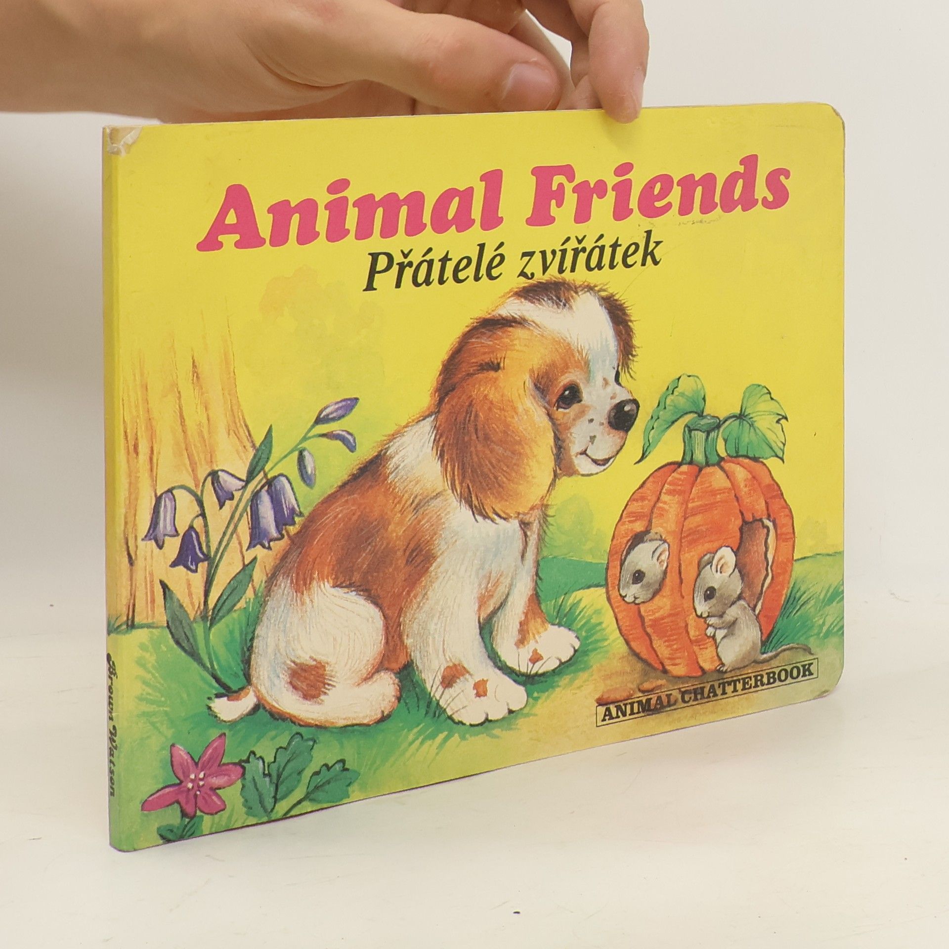 Dianne Matthes Přátelé zvířátek. Animal friends