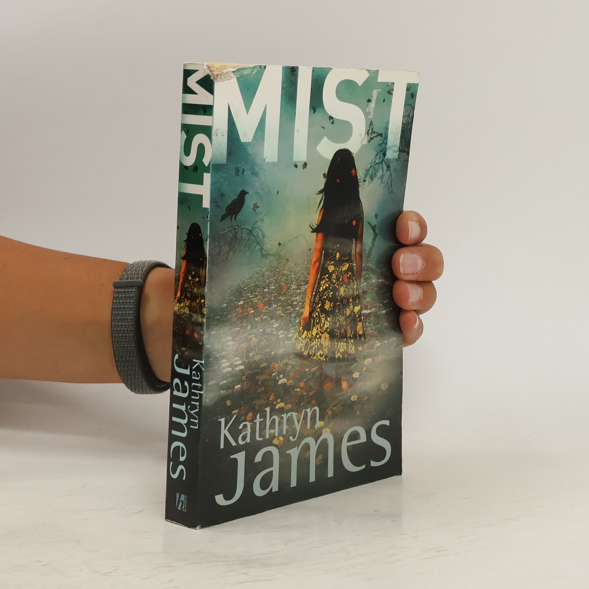 Kathryn James Mist