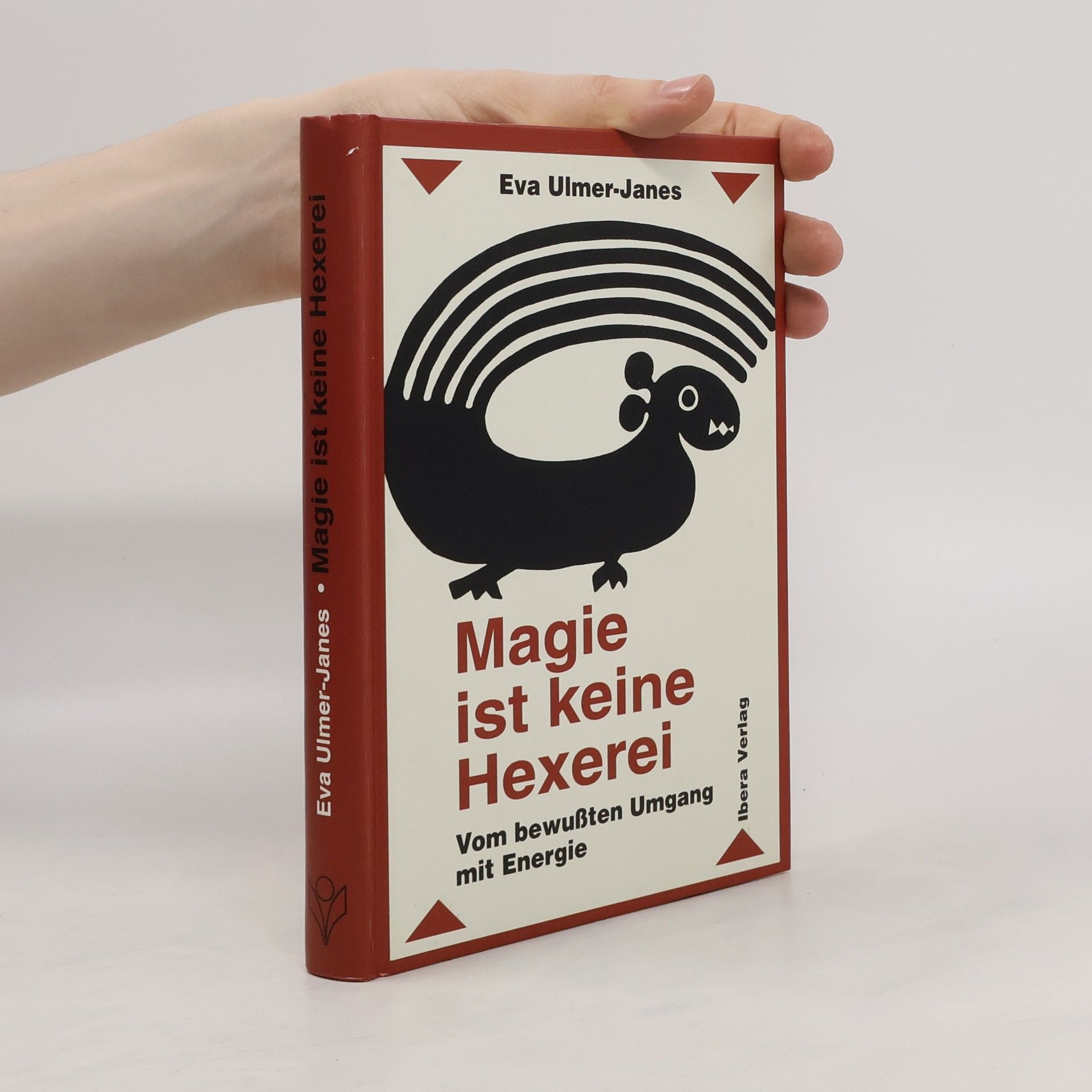 Eva Ulmer Janes Magie ist keine Hexerei