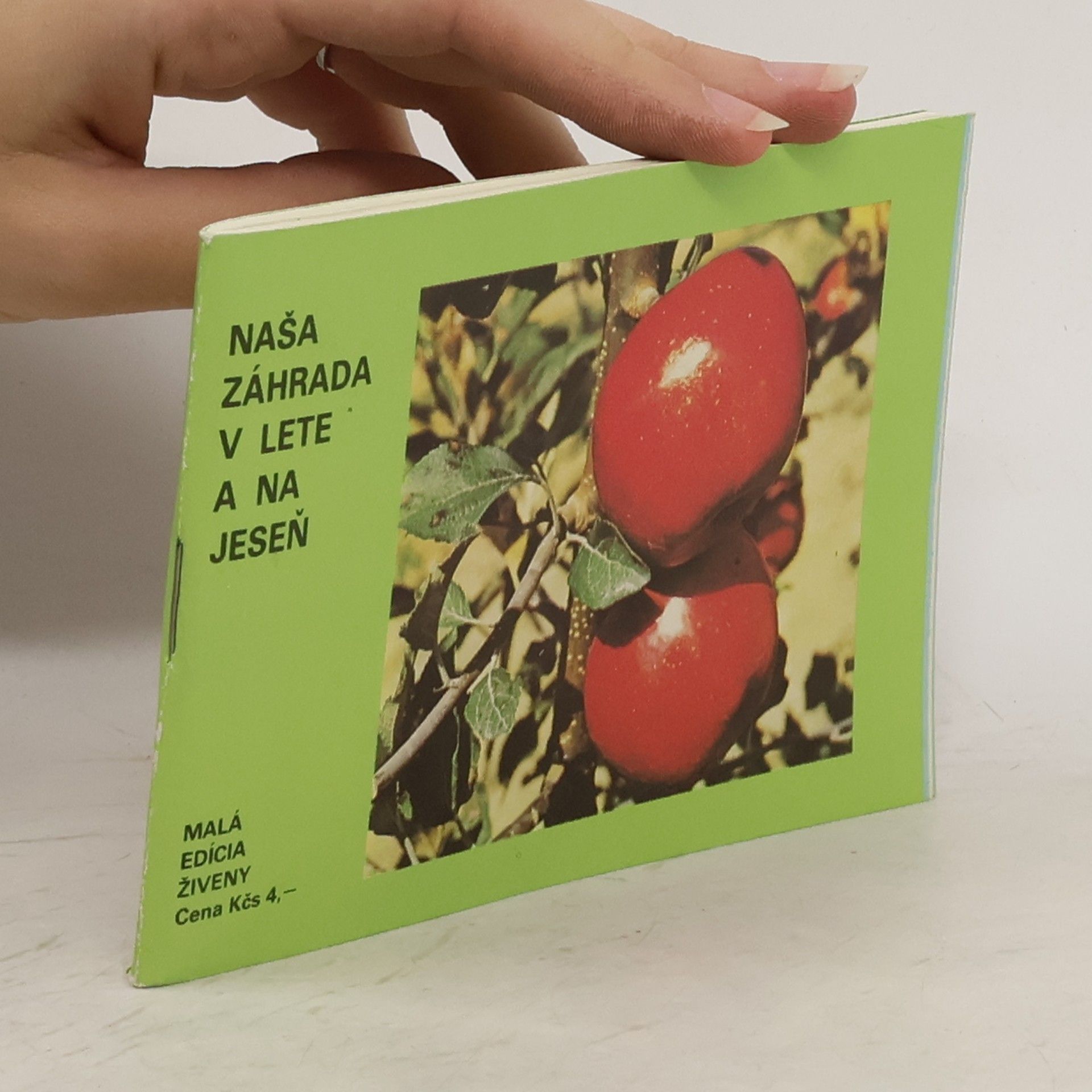 Ivan Šembera Naša záhrada v lete a na jeseň