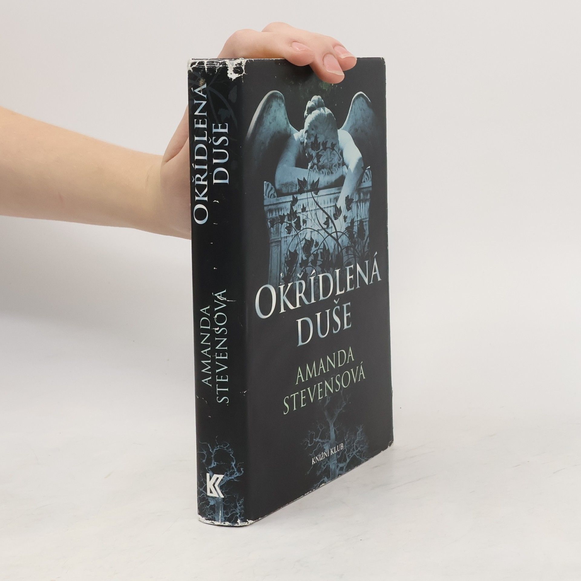 Amanda Stevens Okřídlená duše
