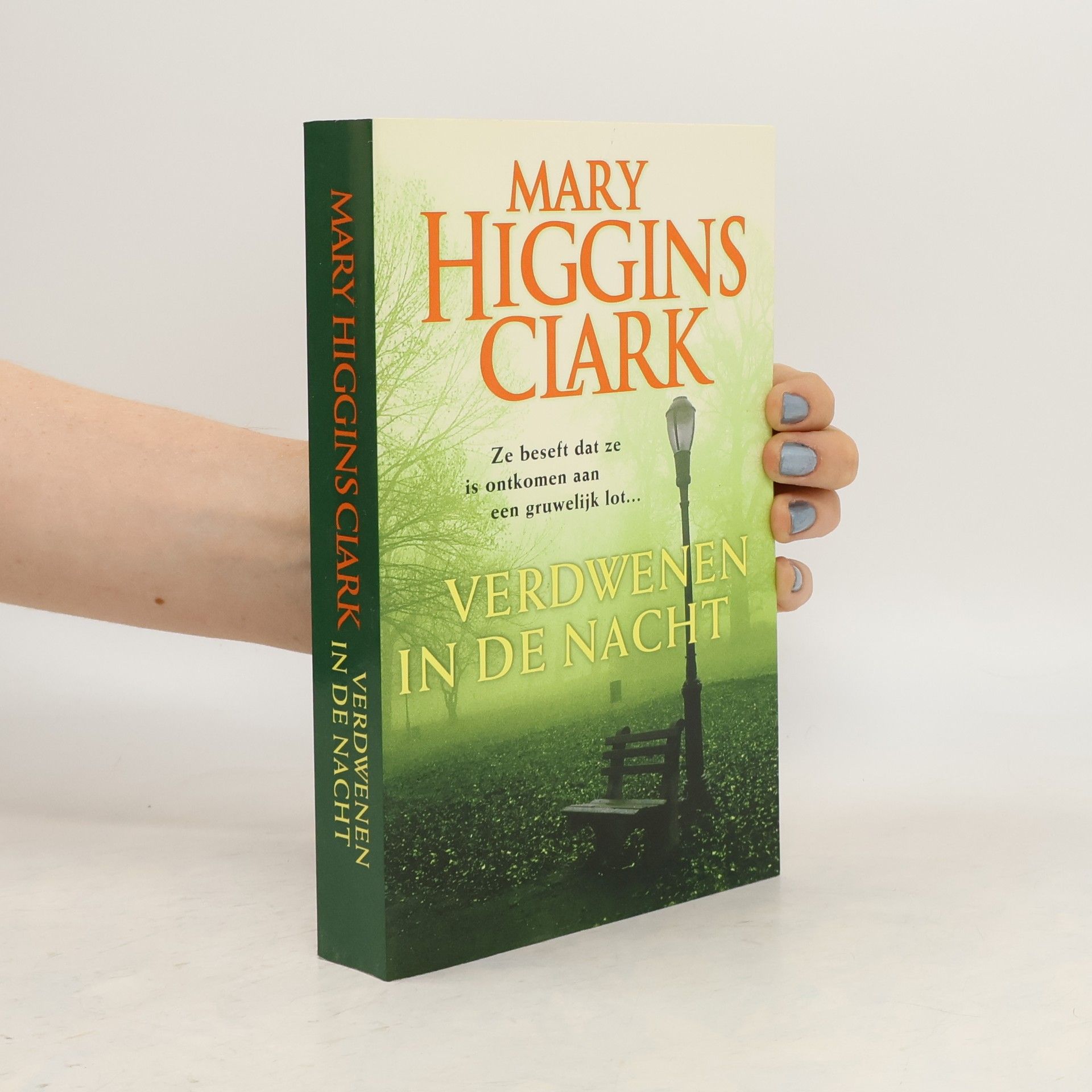 Mary Higgins Clark Verdwenen in de nacht