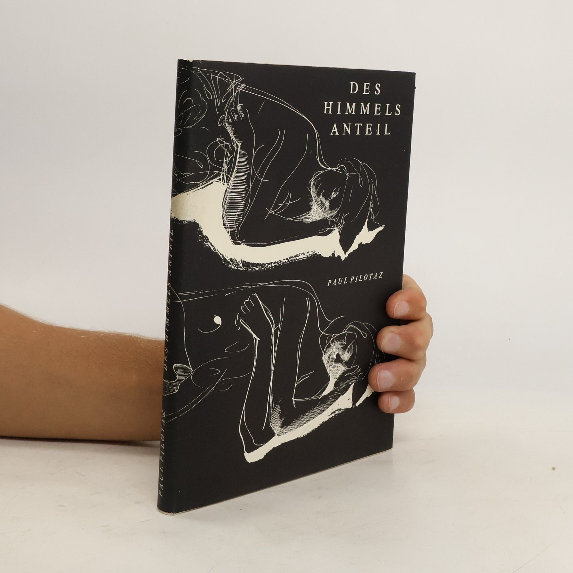 Paul Pilotaz Das Himmels Anteil