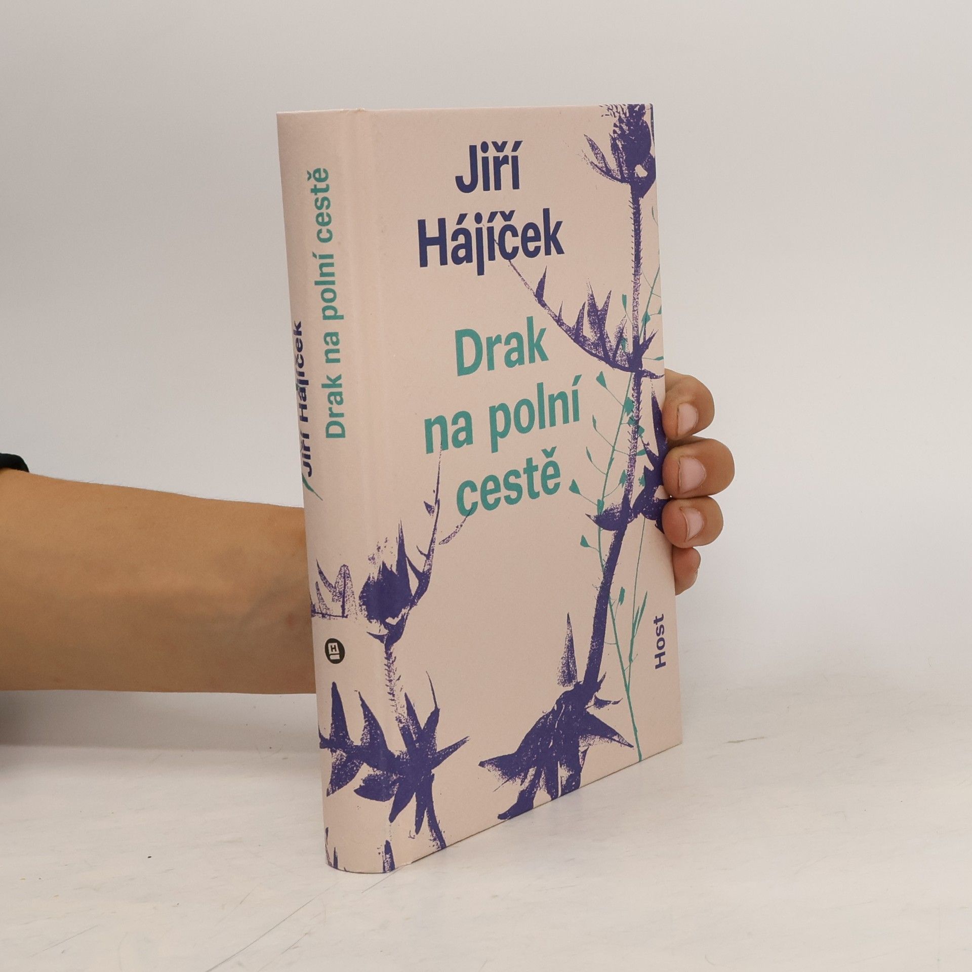 Jiří Hájíček Drak na polní cestě